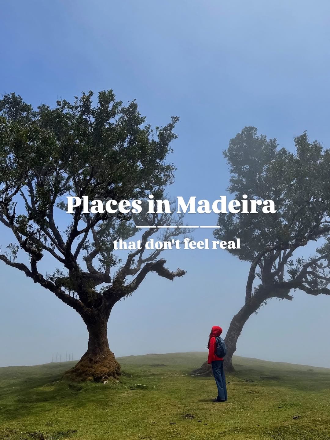 Surreal Madeira Destinations For Your Next Trip