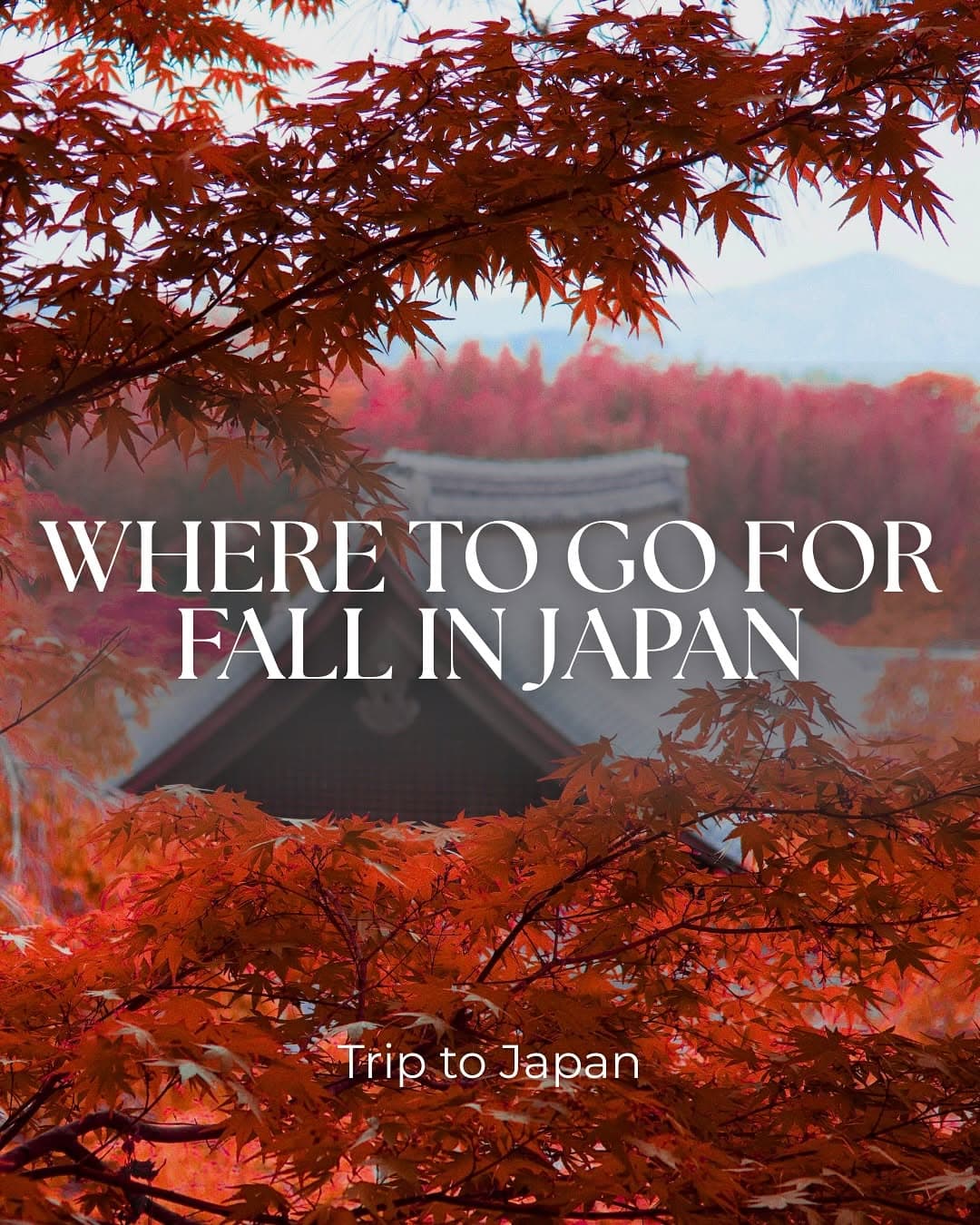 Best Places for Fall Foliage Viewing in Japan