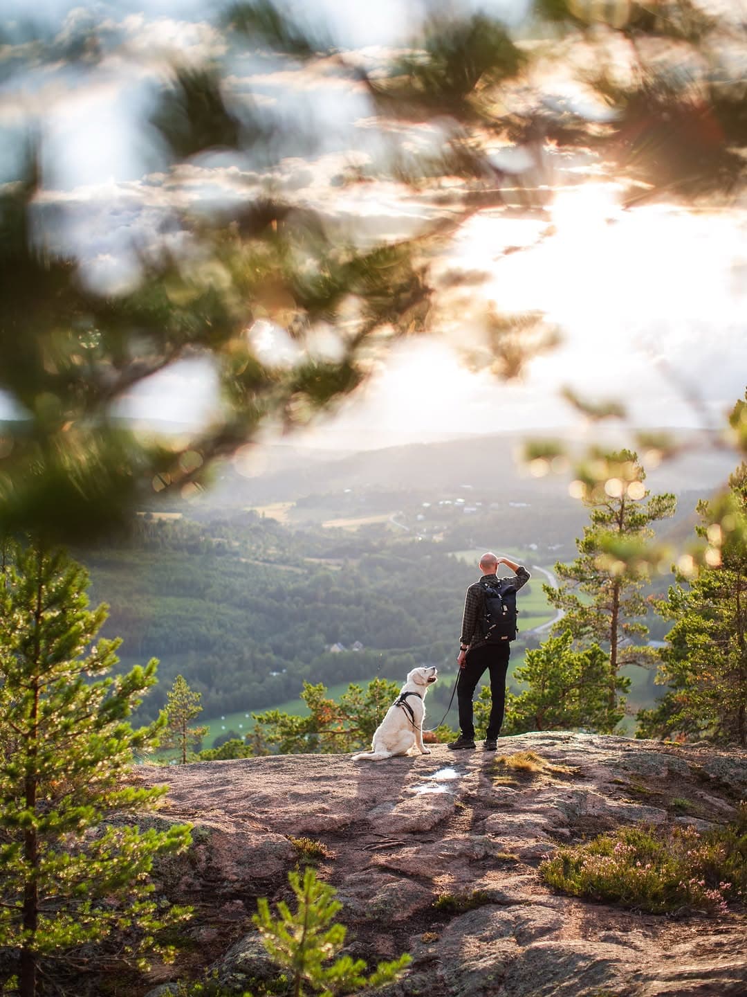 High Coast Hikes: Skuleberget Summit Views