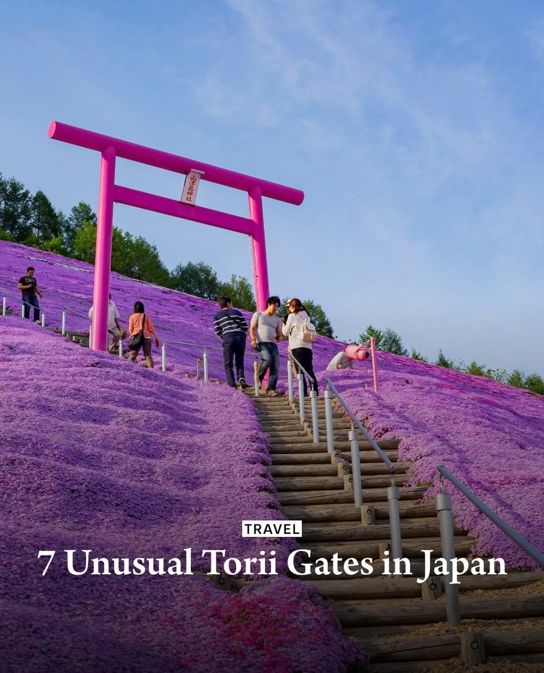 Unusual Torii Gates Across Japan