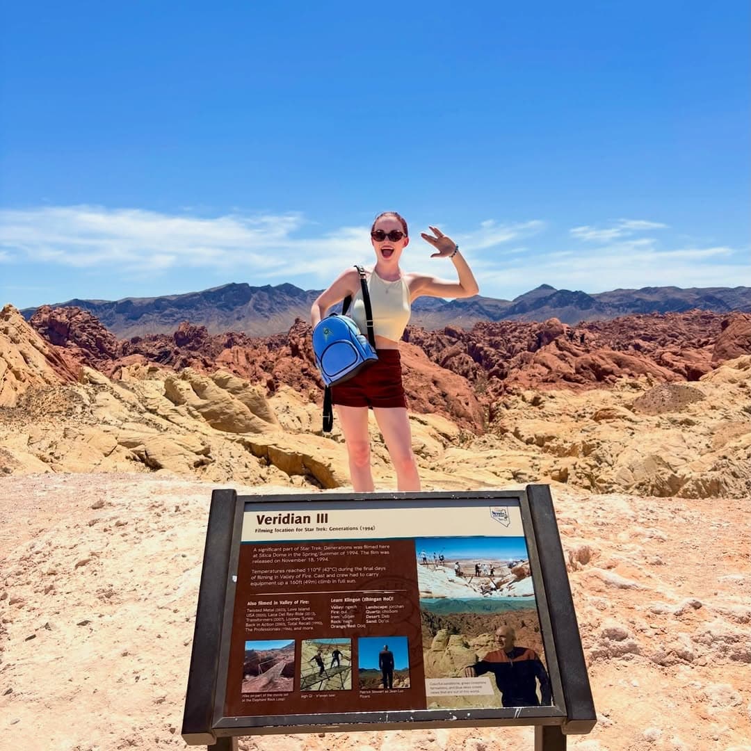 Desert Landscapes Of Red Rock and Sand