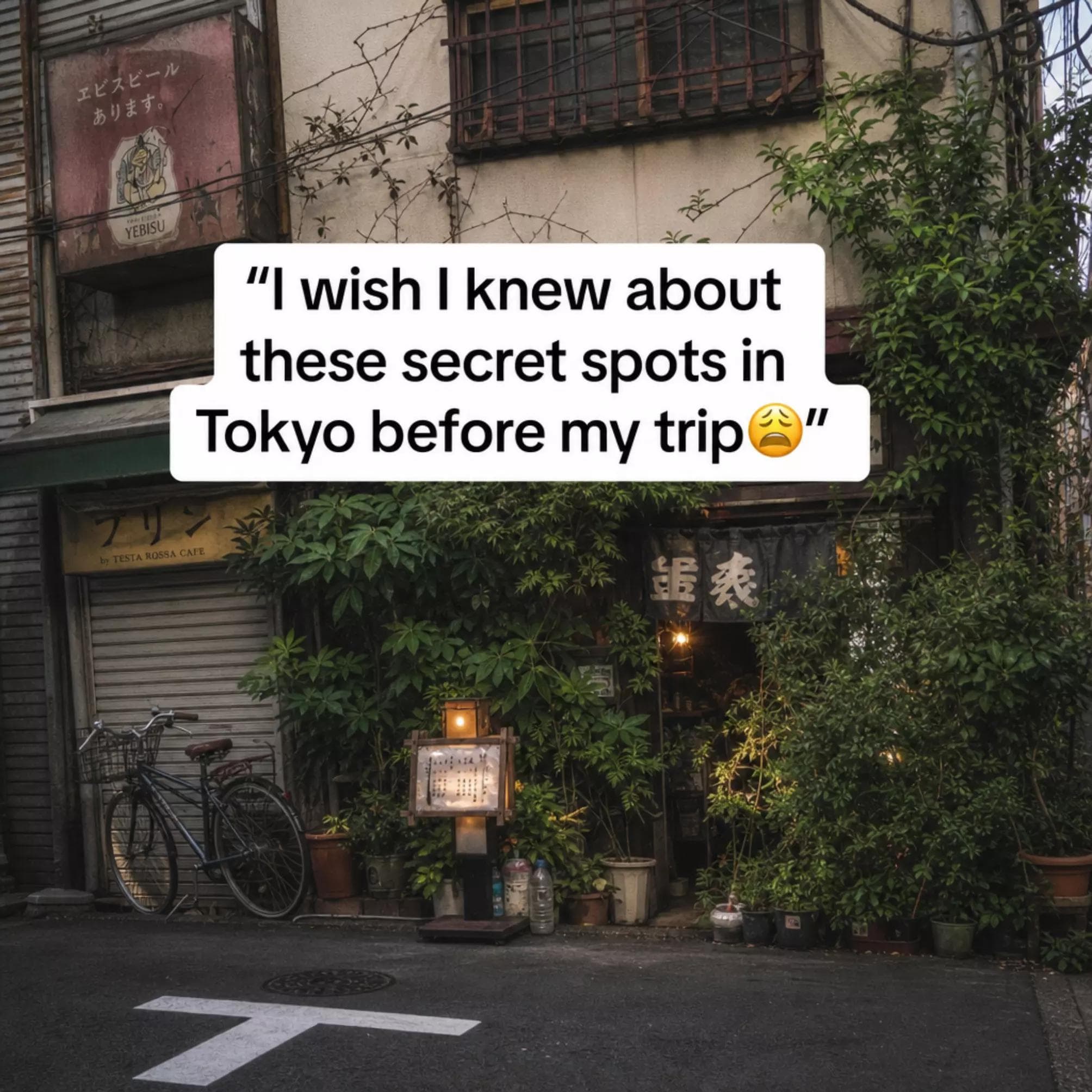 Six Tranquil Tokyo Destinations for a Peaceful Escape