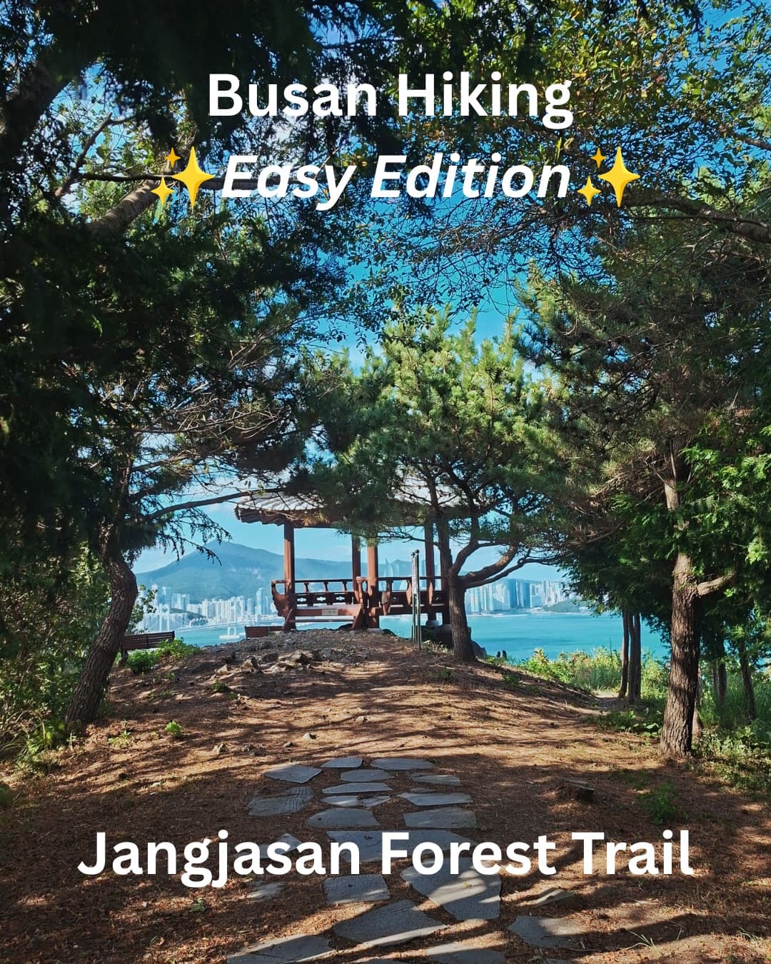 Busan's Scenic Coastal Hiking Trails
