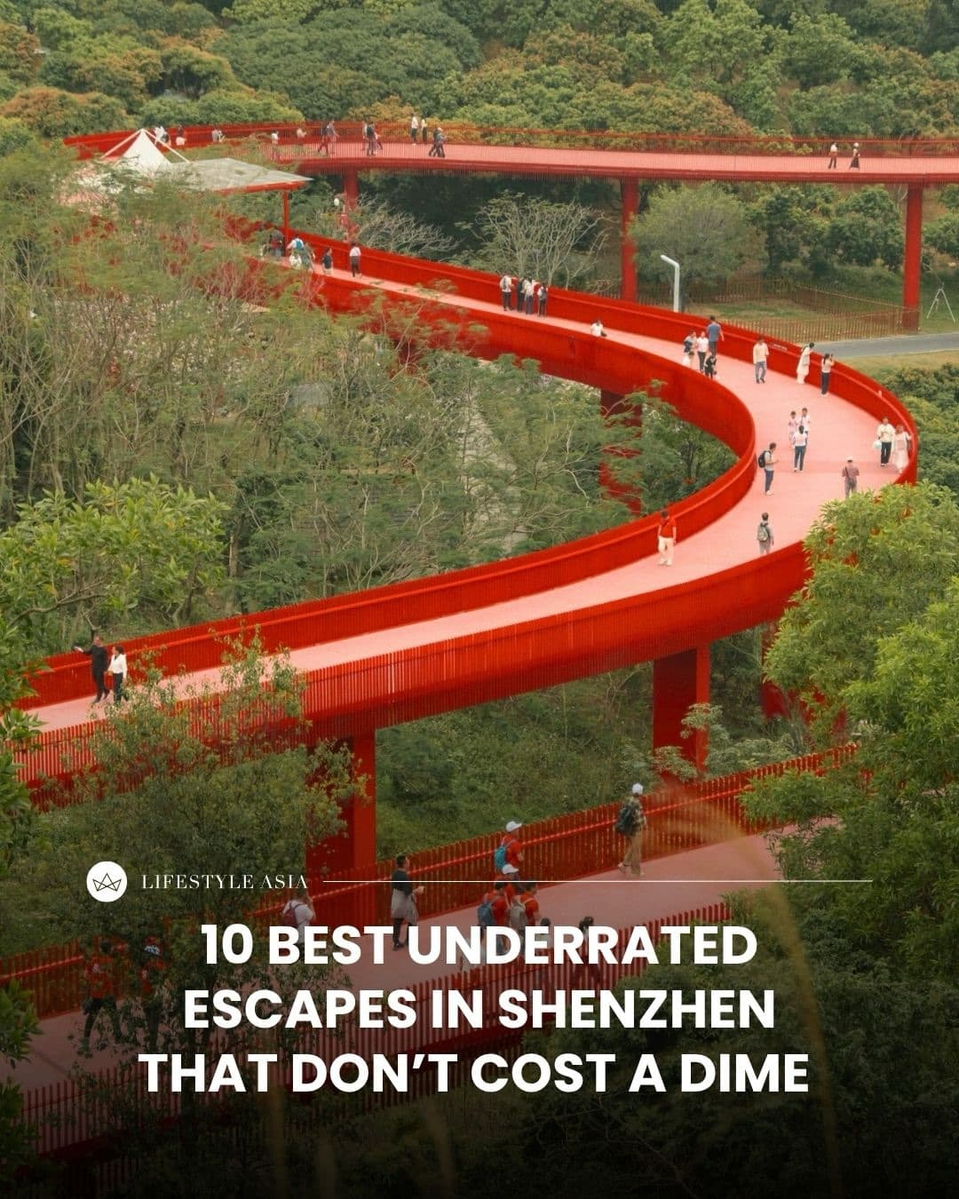 Shenzhen's Free Escapes: Nature and Urban Adventures