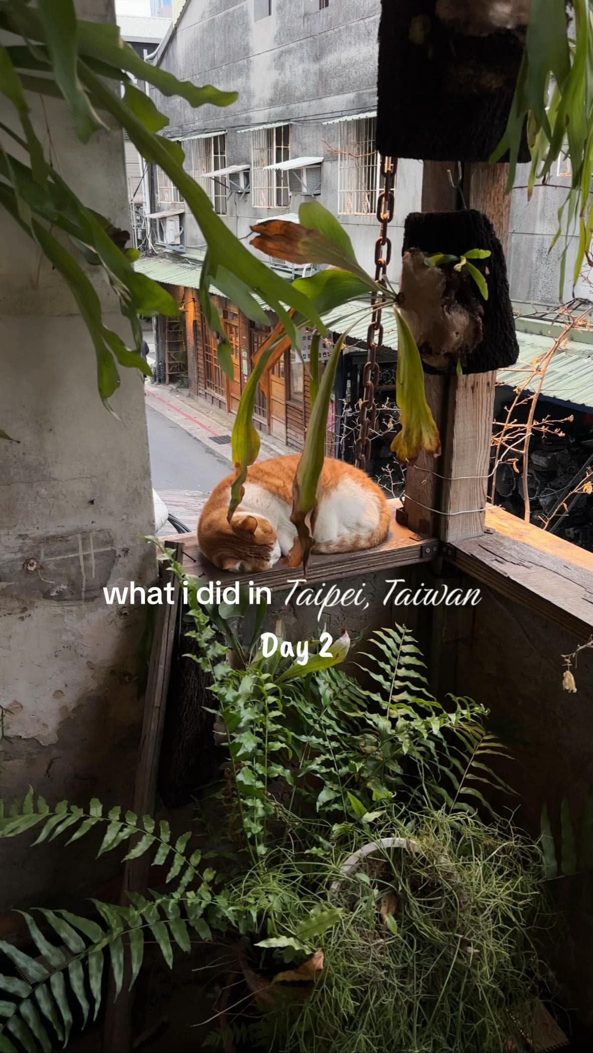 Taipei Day Two: Markets, Cafes, and Creative Parks