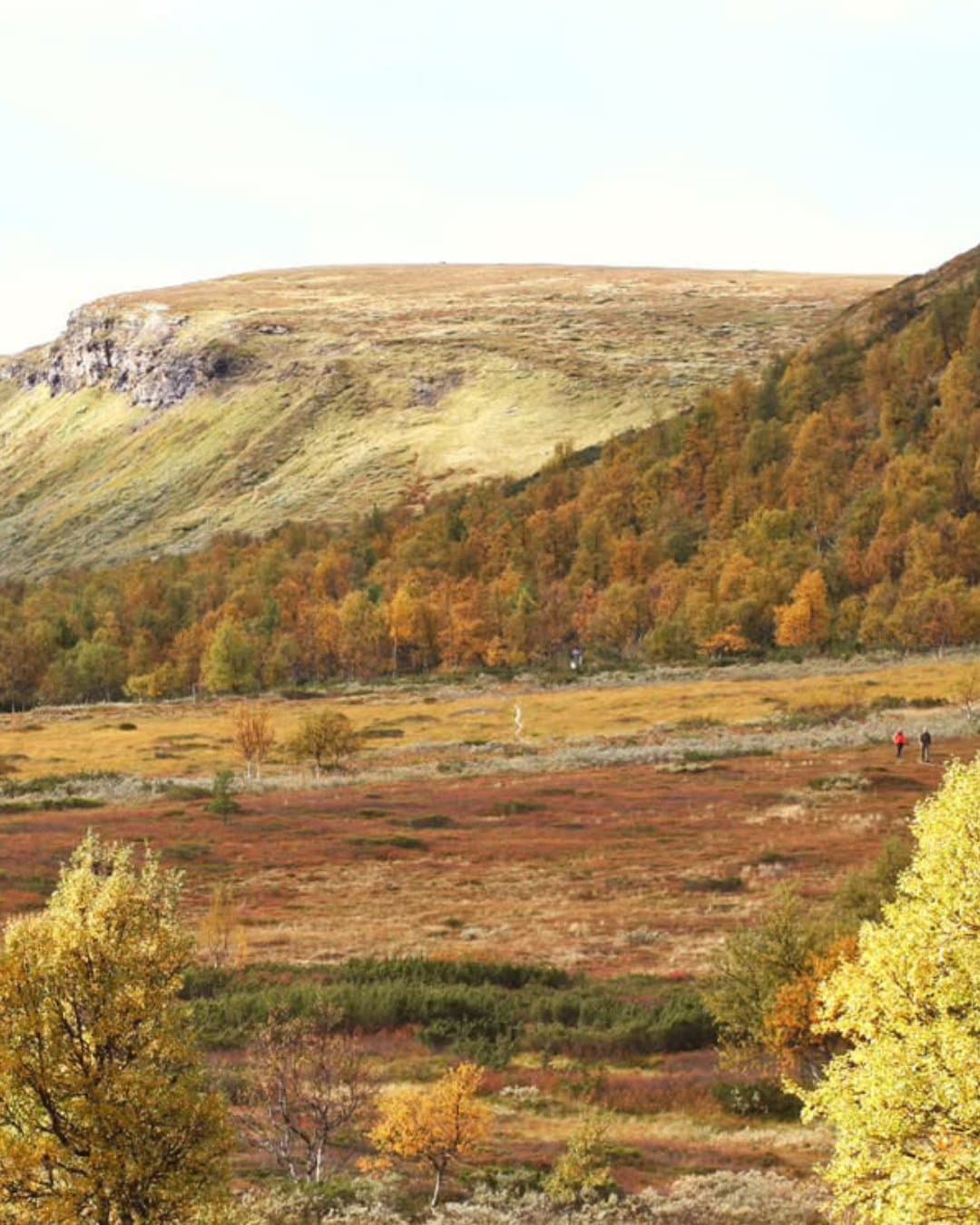 Autumn Adventures in Tänndalen
