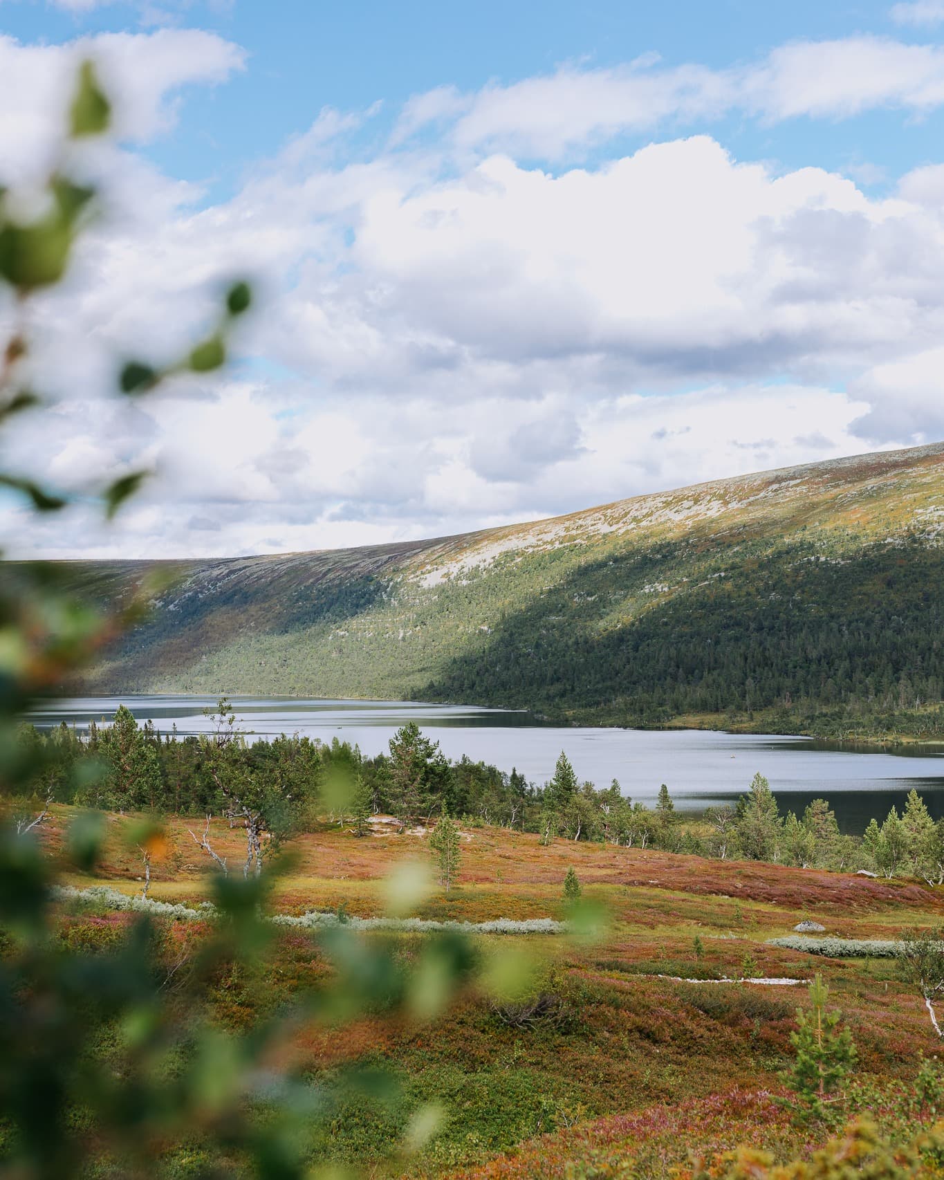 Grövelsjön Area's Top Hiking Destinations