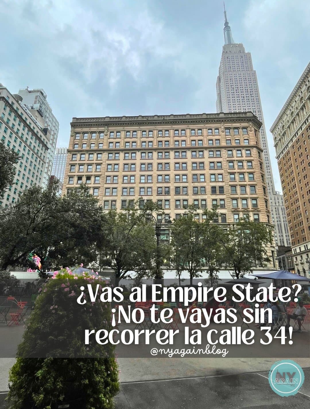 8 Shops in New York