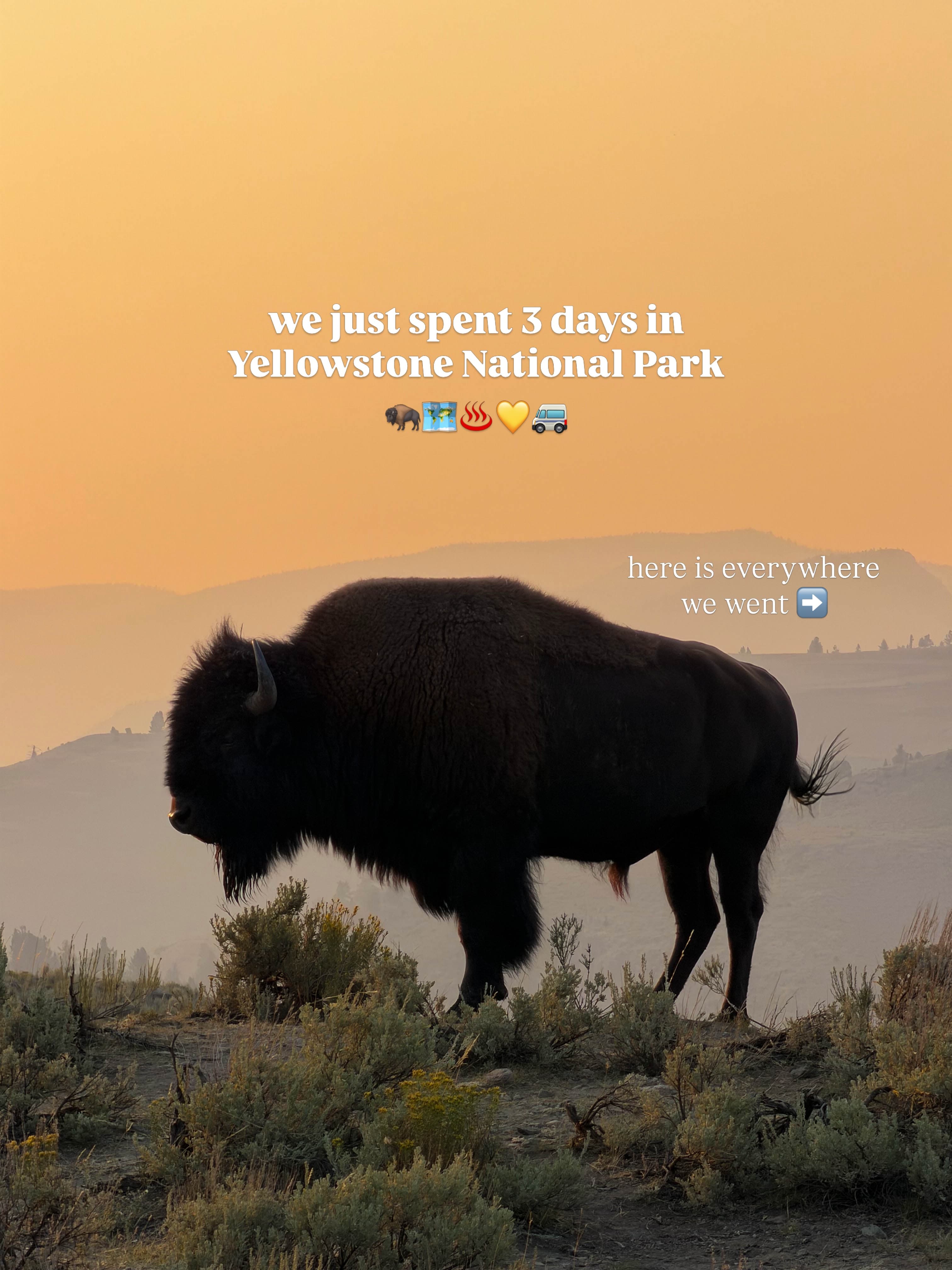 Must-See Spots in Yellowstone National Park