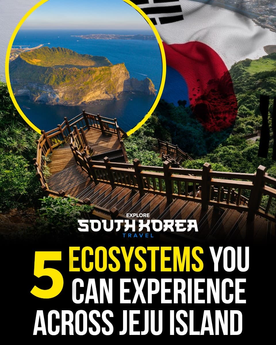 Volcanic Island Ecosystems From Sea To Summit