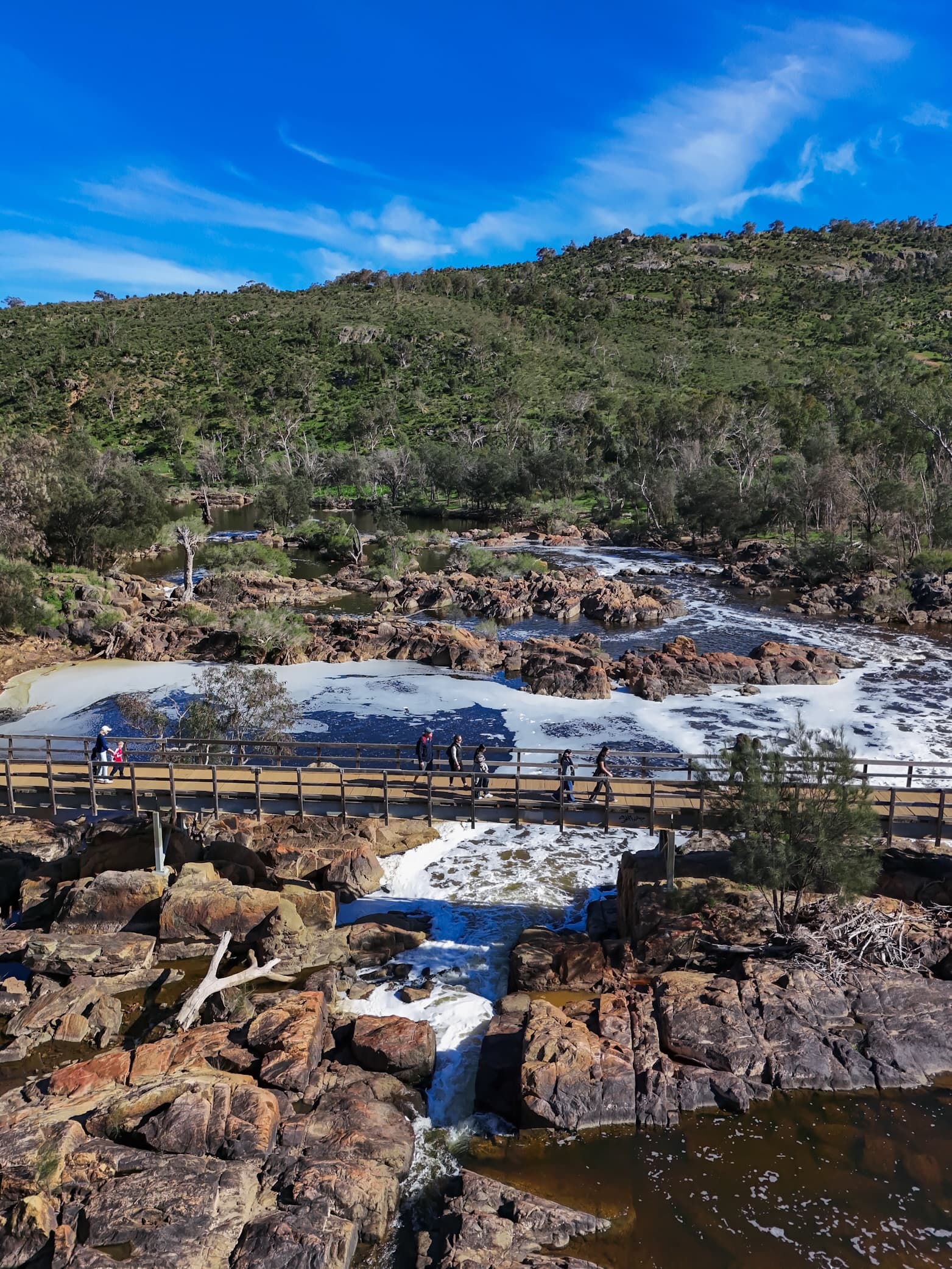 Riverside Adventures At Bells Rapids Park