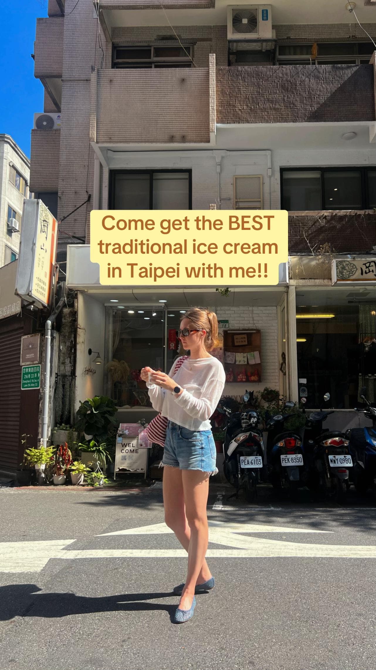Taipei Landmarks and Shopping