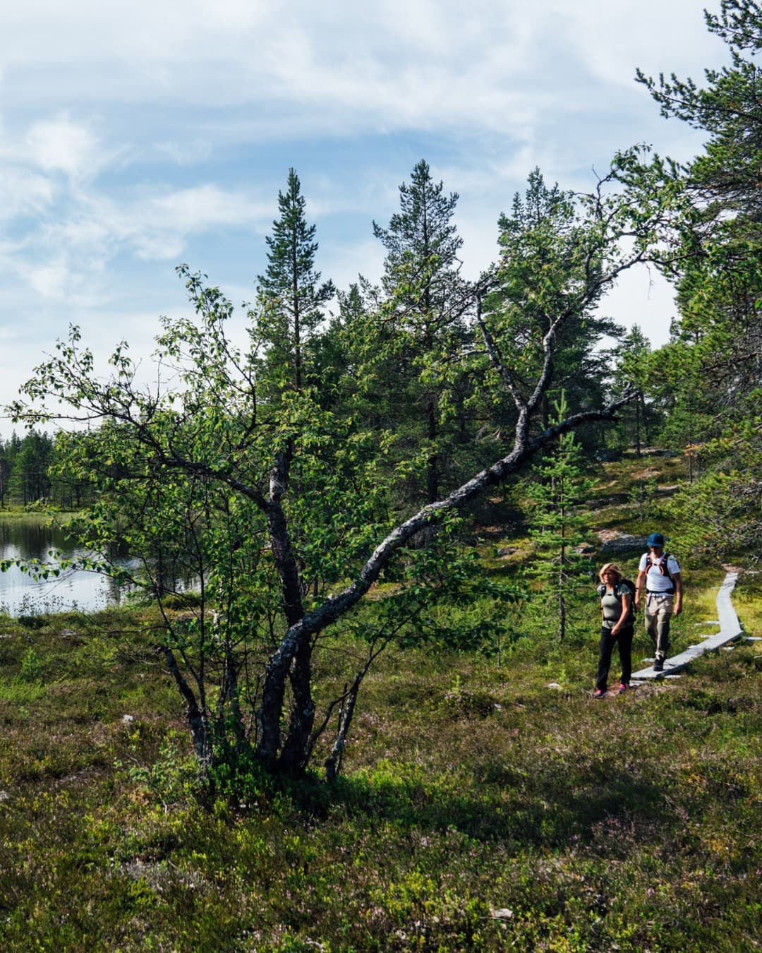 Wilderness Hikes Through Ice Age Moraines