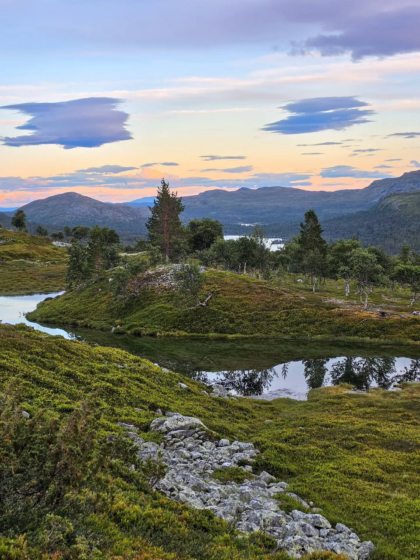 Hike to Elgåhogna for expansive Femundsmarka Views