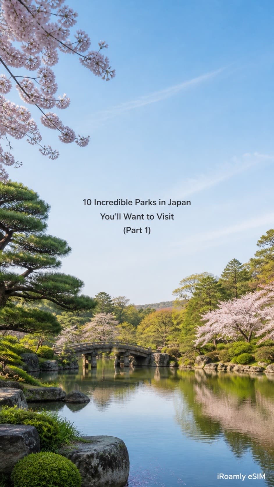 Japan's Diverse Parks Across the Seasons