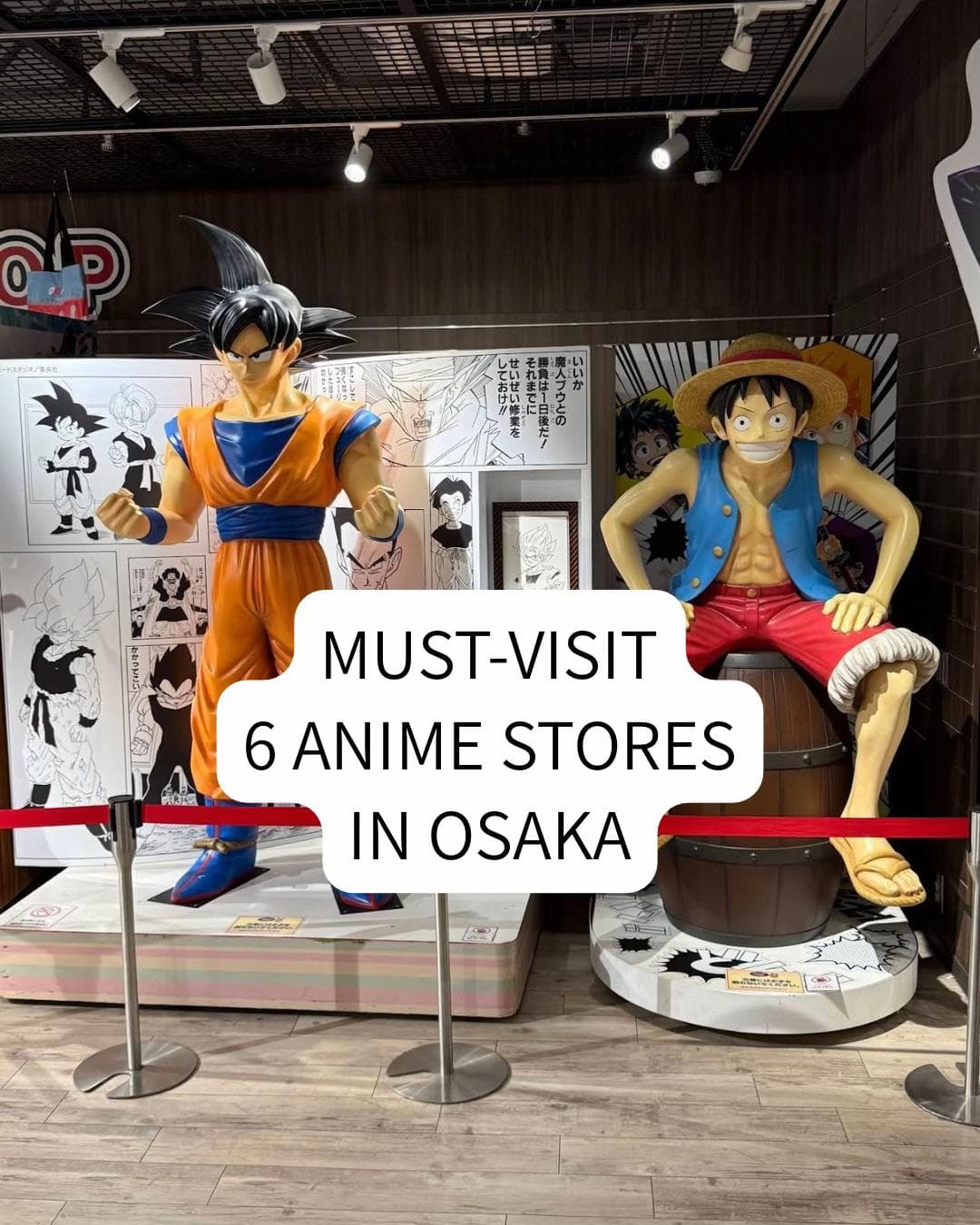 6 Shops in Osaka