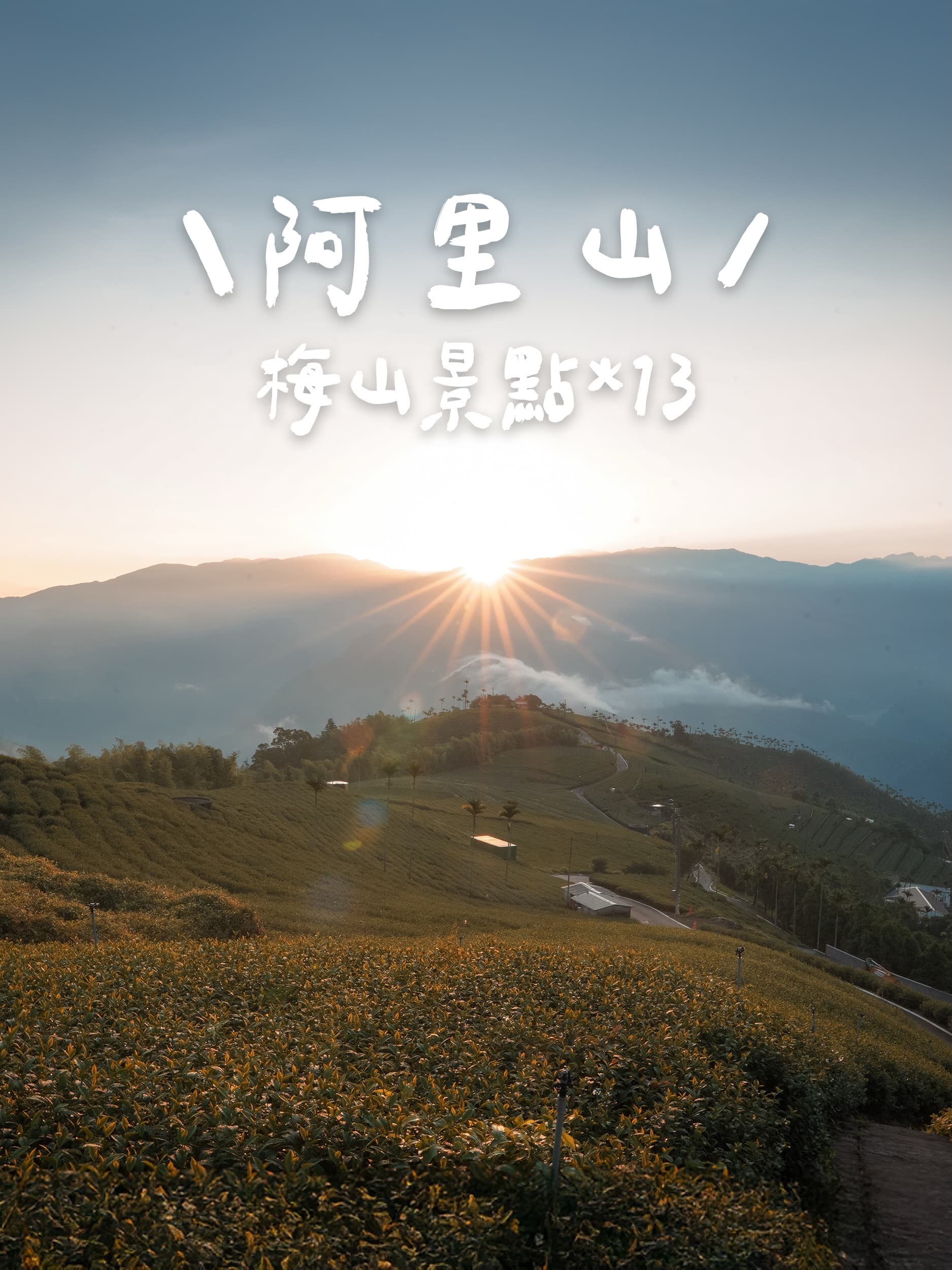 Alishan's Natural Wonders and Tea Trails