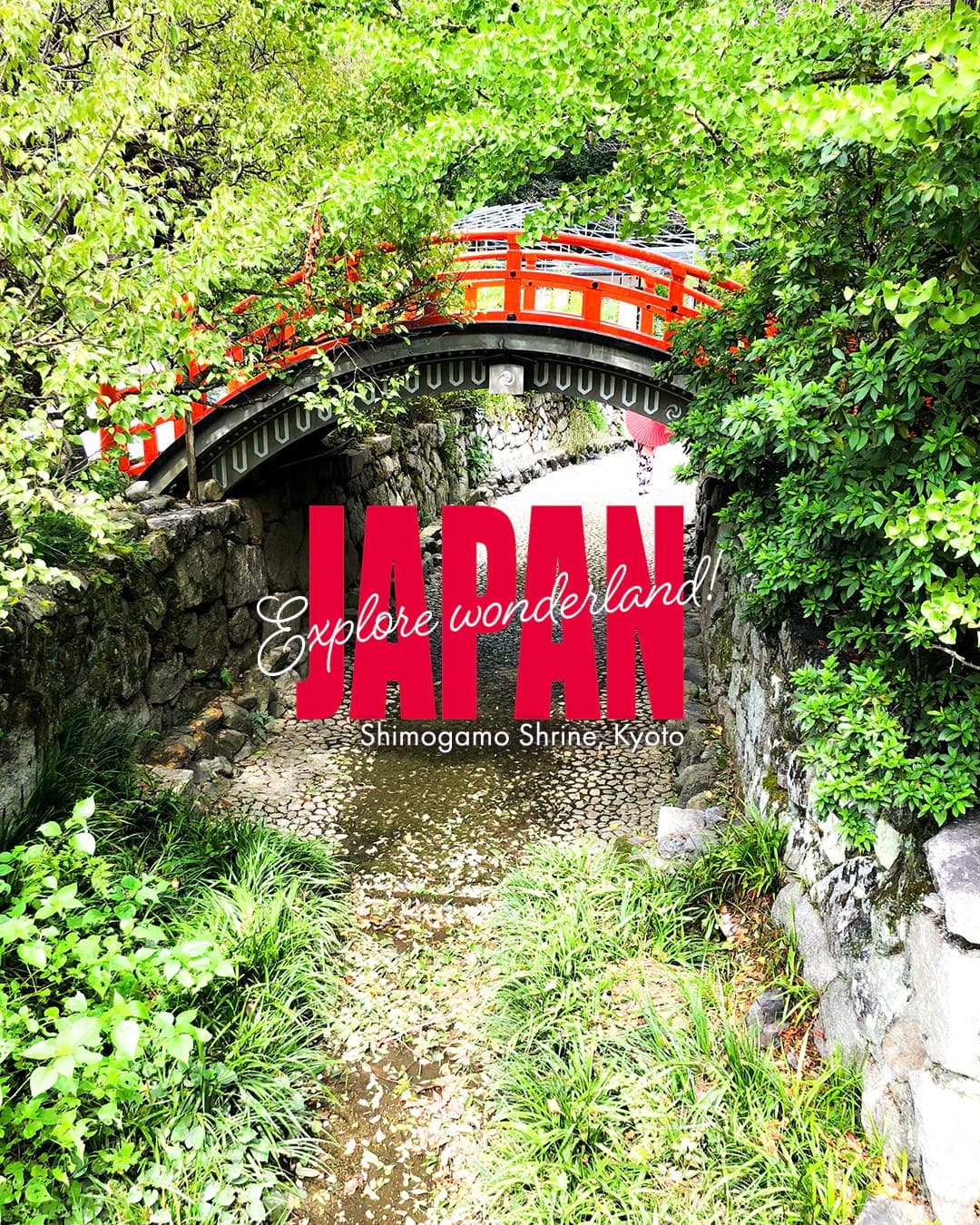 Shimogamo Shrine and Tadasu-no-Mori Forest Escape