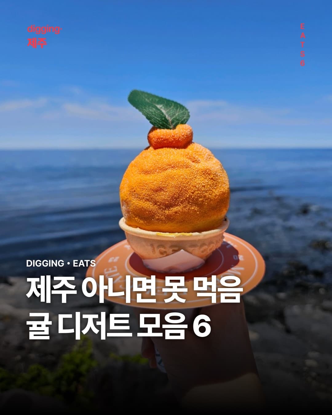 Six Jeju Spots for Tangerine Dessert Delights