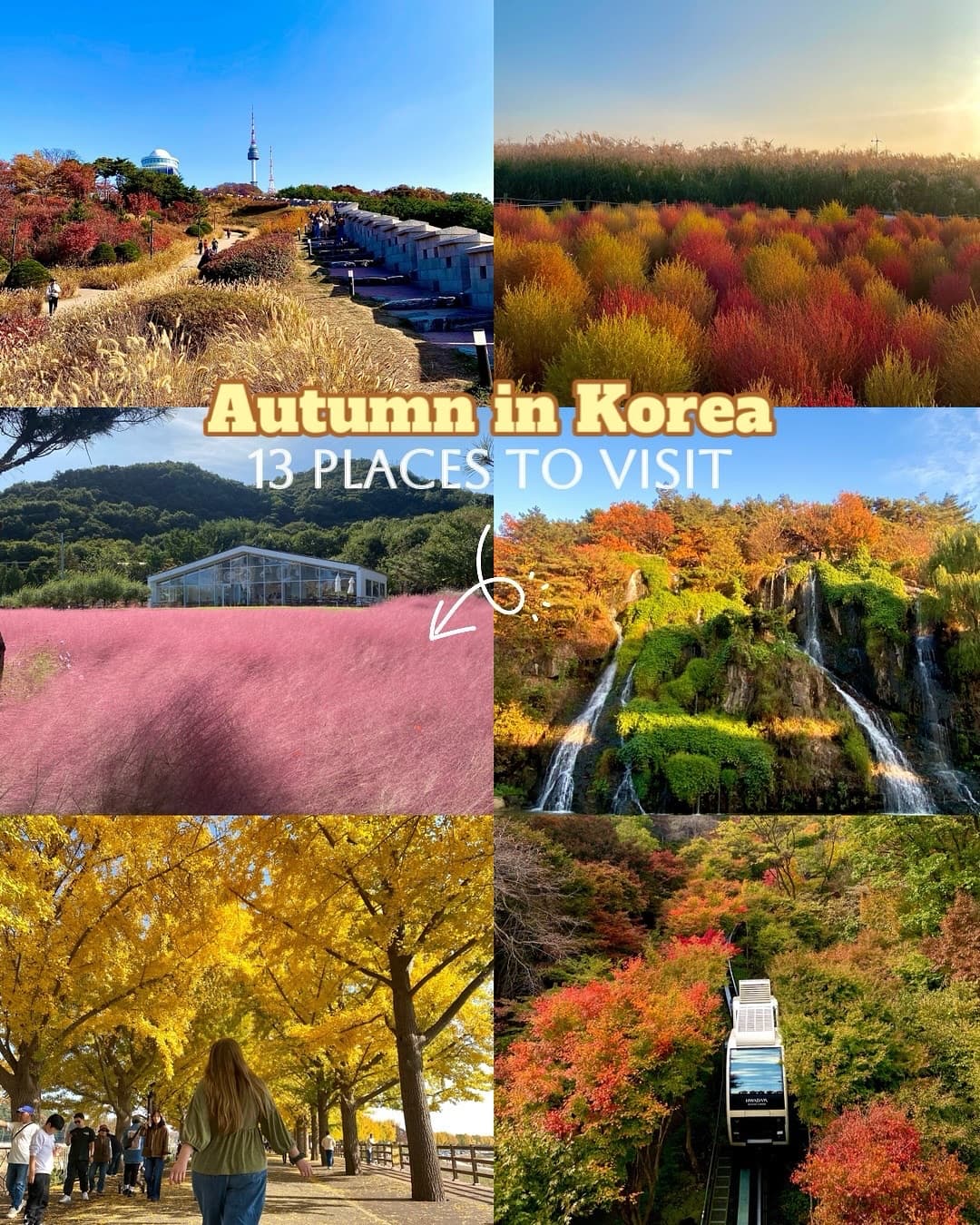 Best Korean Spots for Autumn Foliage and Fall Colors