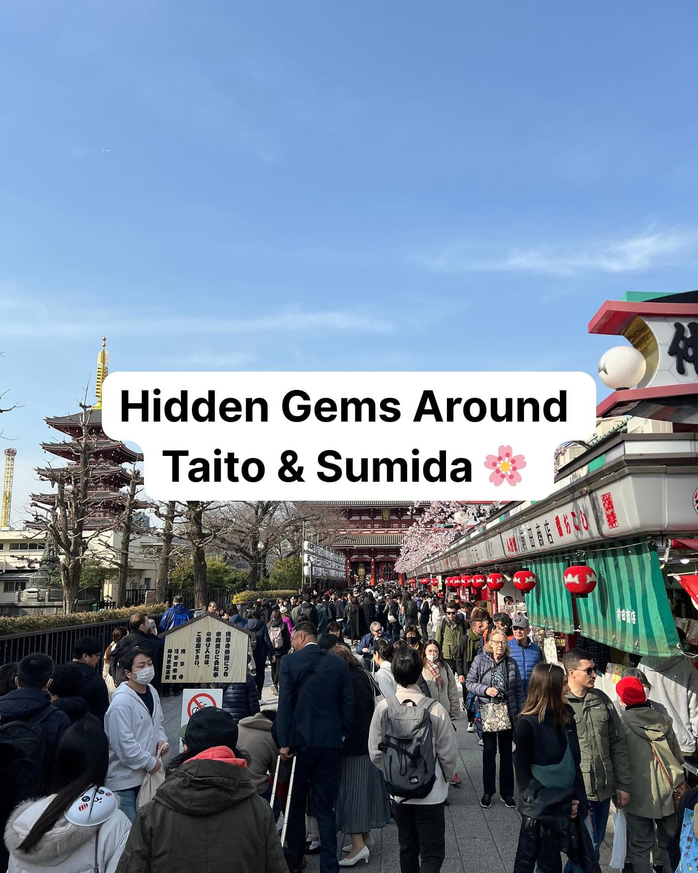 Tokyo's Taito & Sumida: Traditional Charm and Hidden Gems