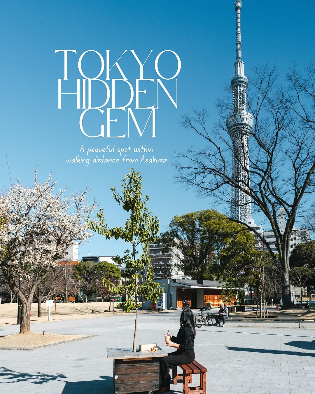 Tokyo Mizumachi: A Peaceful Escape Near Asakusa