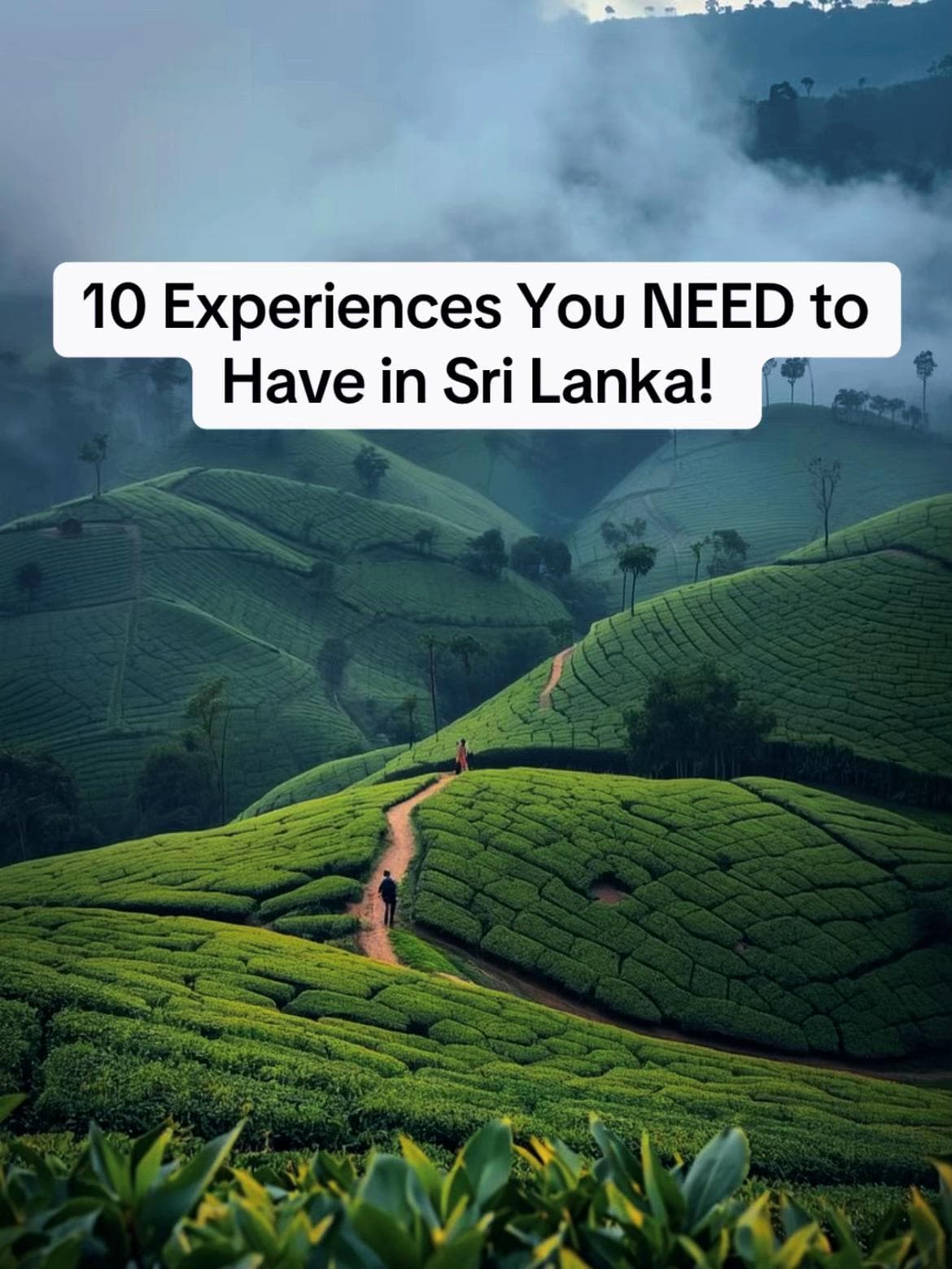 Sri Lanka's Top Nature, Wildlife, and Adventure Sites