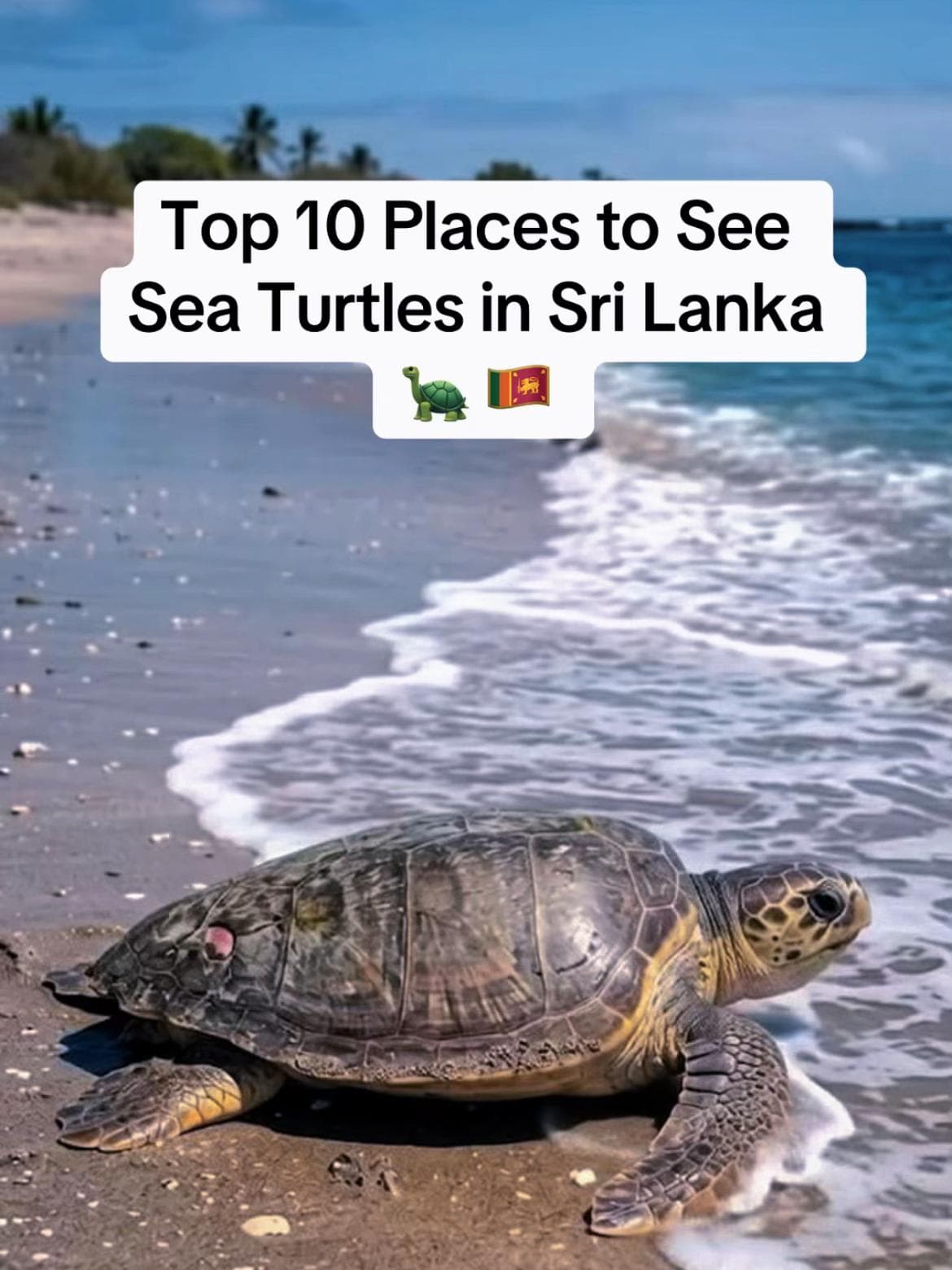 10 Attractions in Southern Province