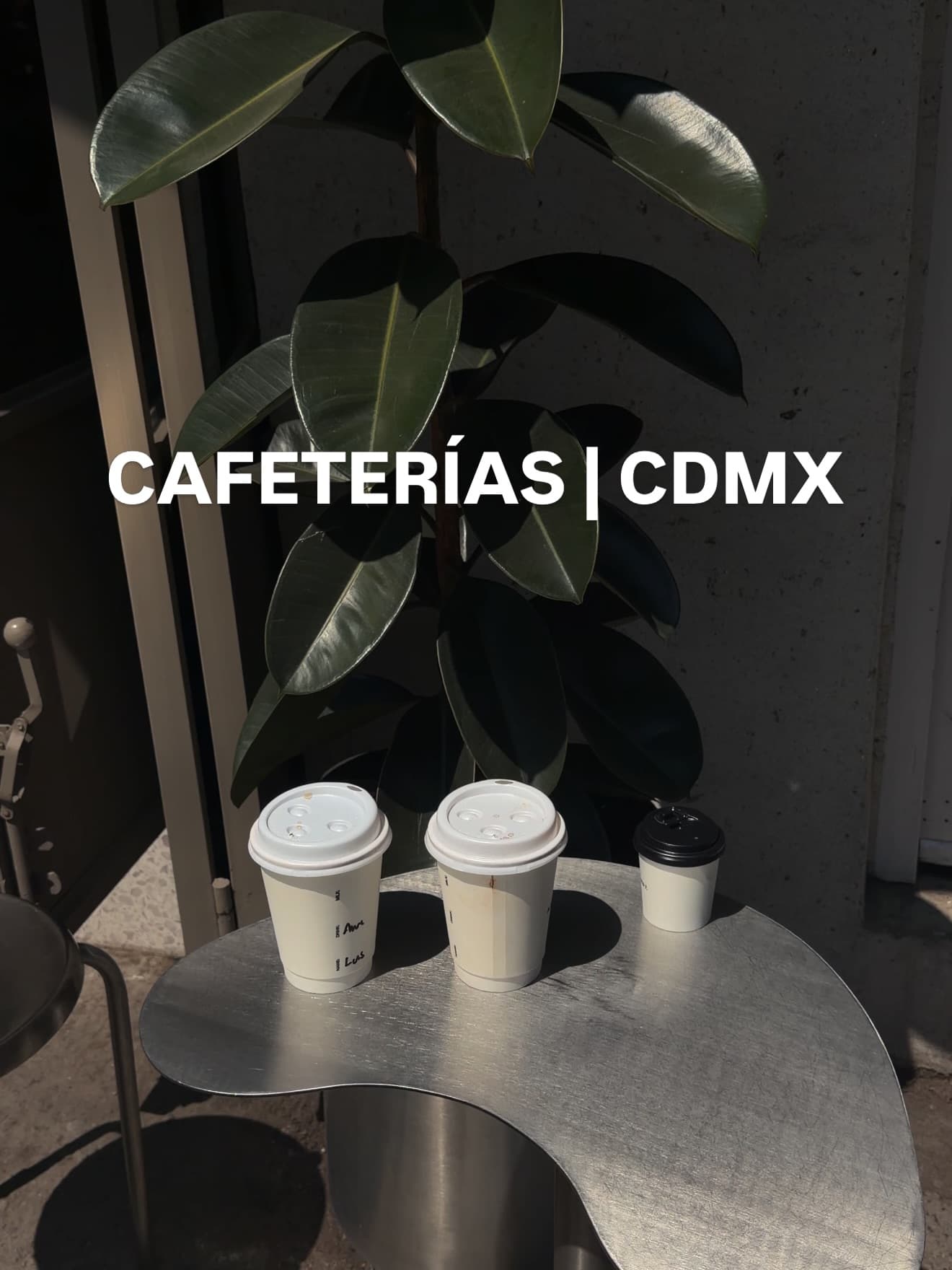 Mexico City's Coffee Shops for Your Next Visit