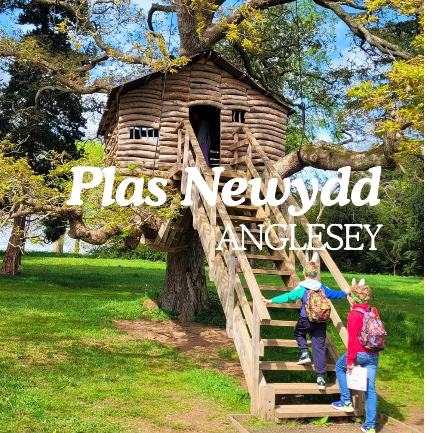 Anglesey's National Trust, Woodlands, and Village