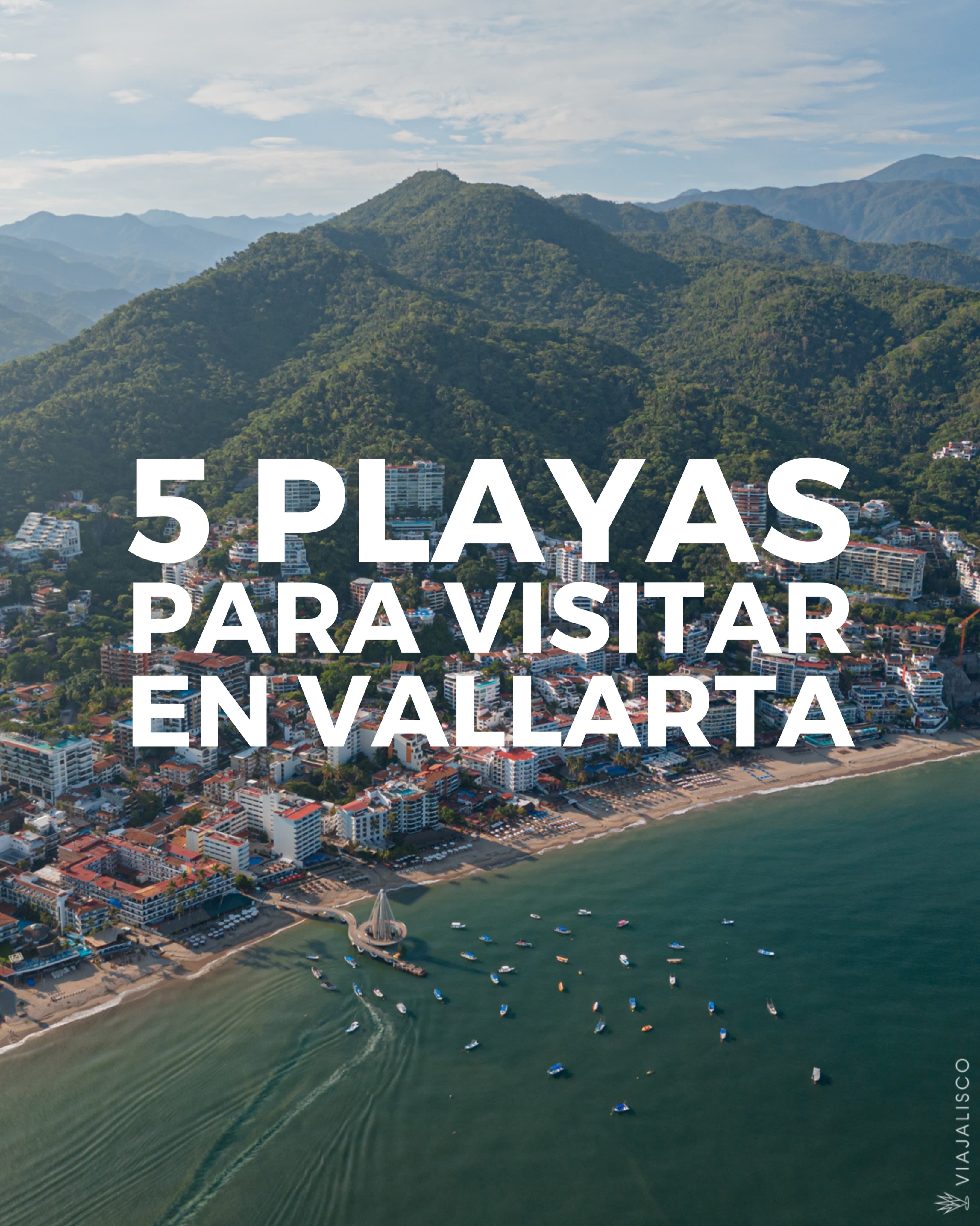 Beaches Of Puerto Vallarta