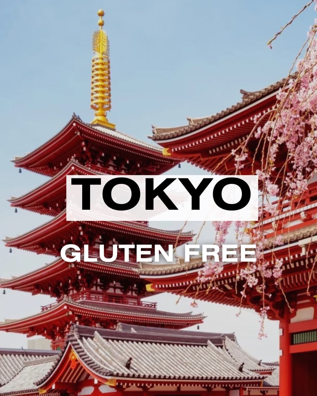 Tokyo's Gluten-Free Culinary Delights