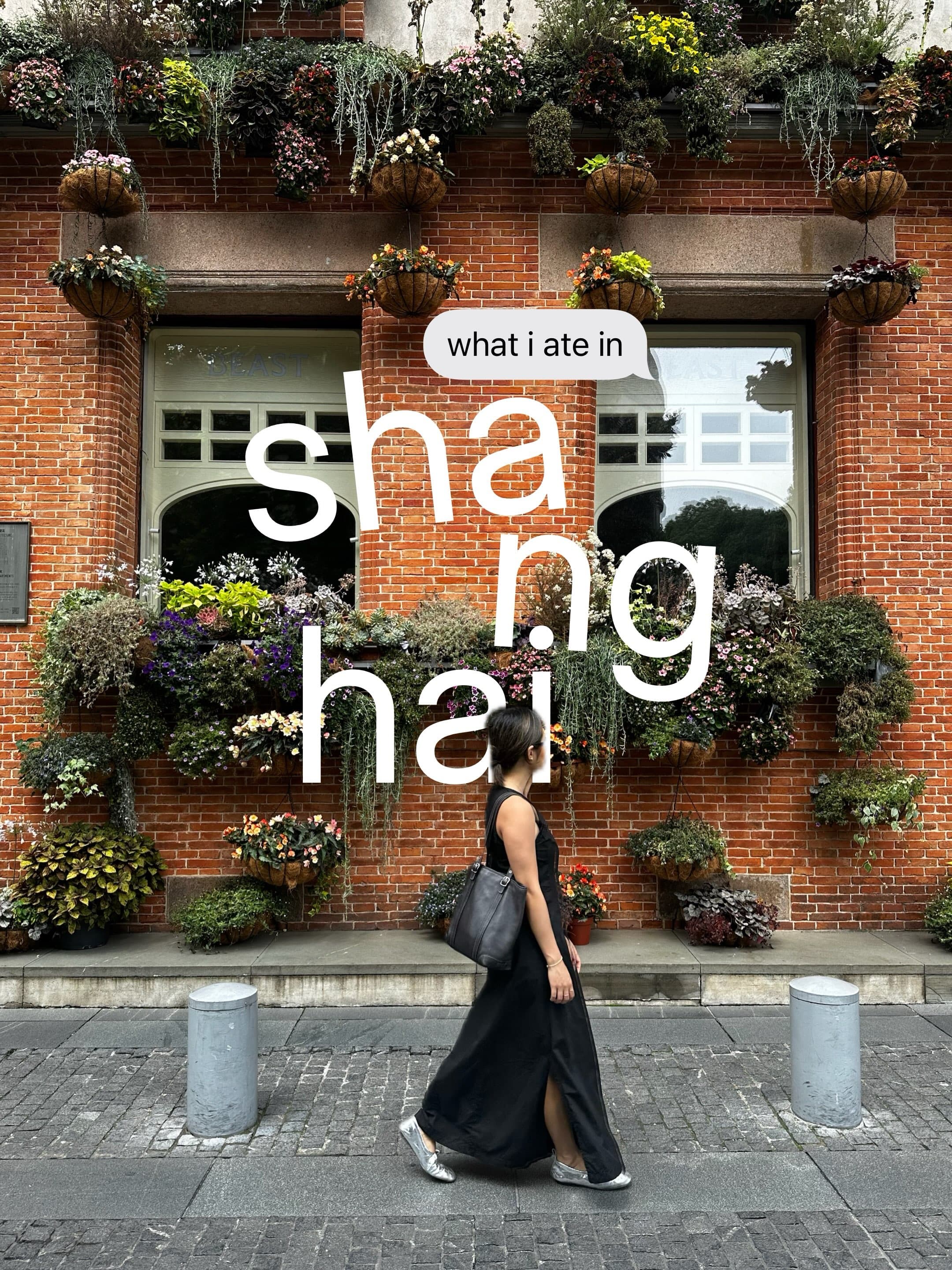 Shanghai Food Guide: Viral Spots and Favorites