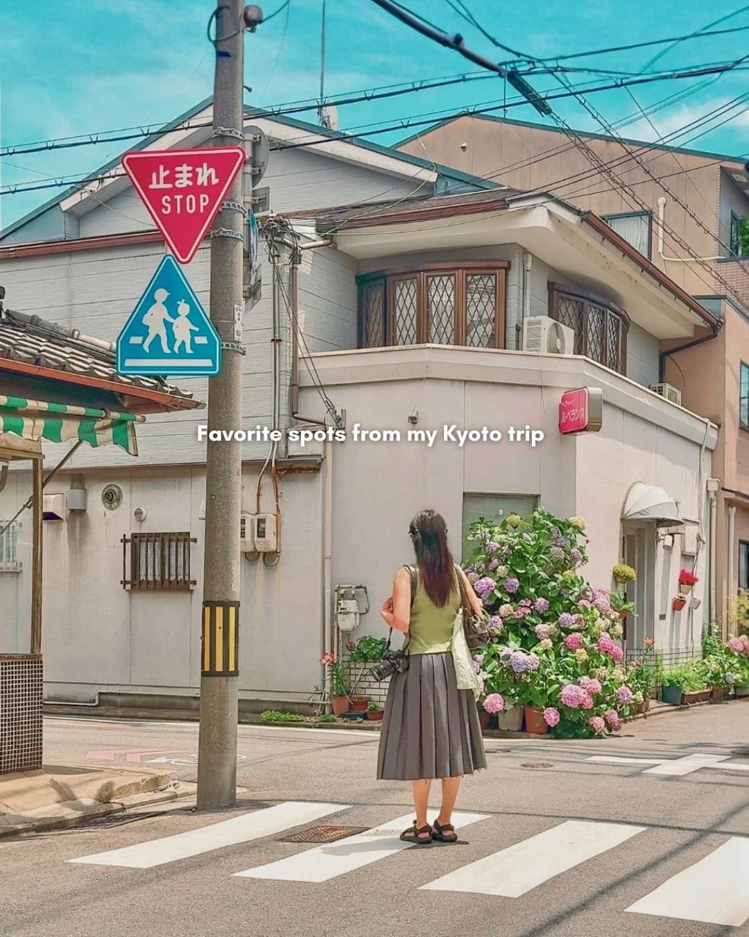 Kyoto's Top Eateries, Gardens, and Shrines