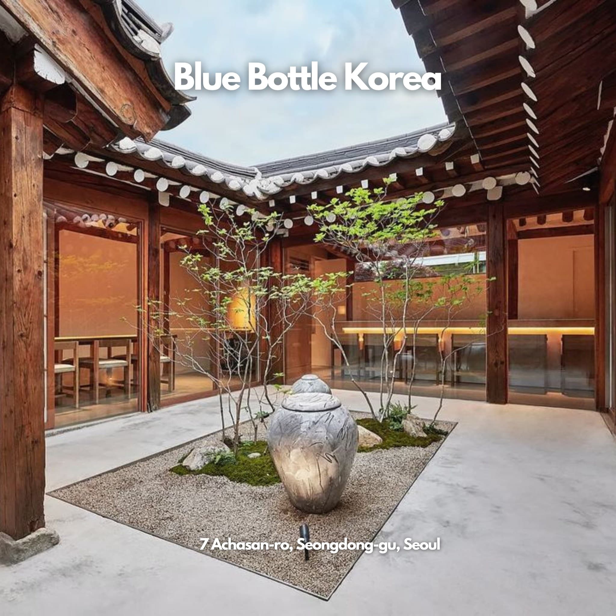 Seoul Forest Cafe Street's Top Spots