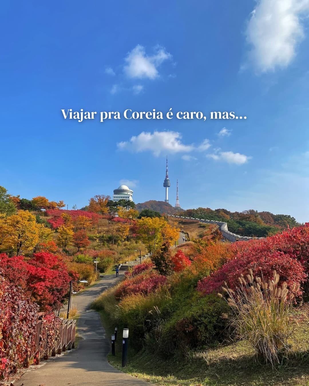 Free Seoul Attractions for Your Travel Itinerary
