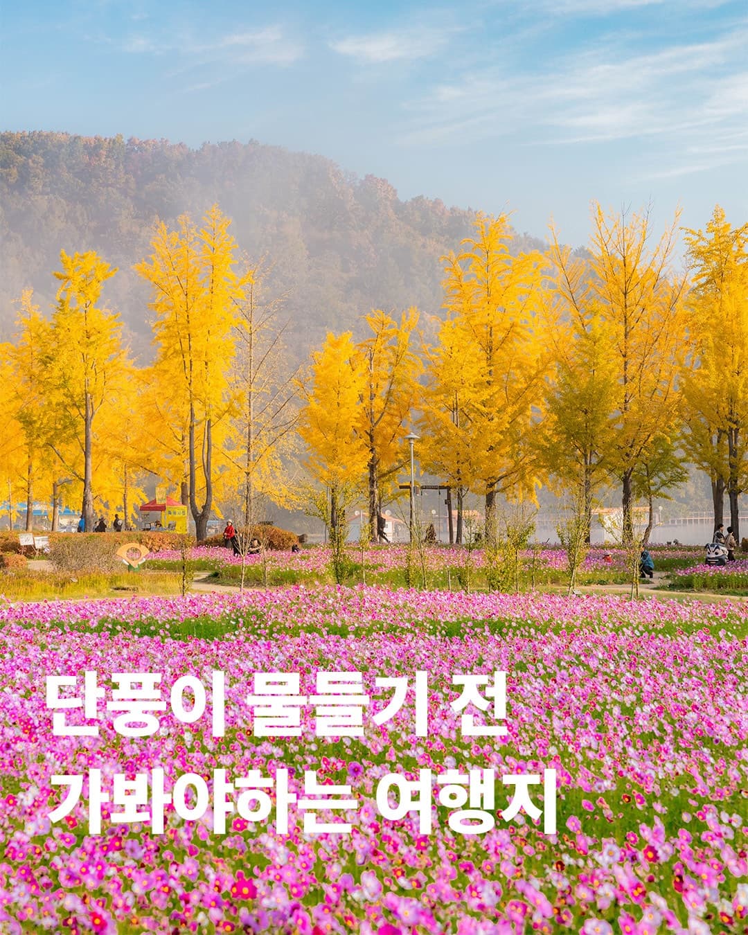 Late Summer Blooms And Early Autumn Flower Destinations
