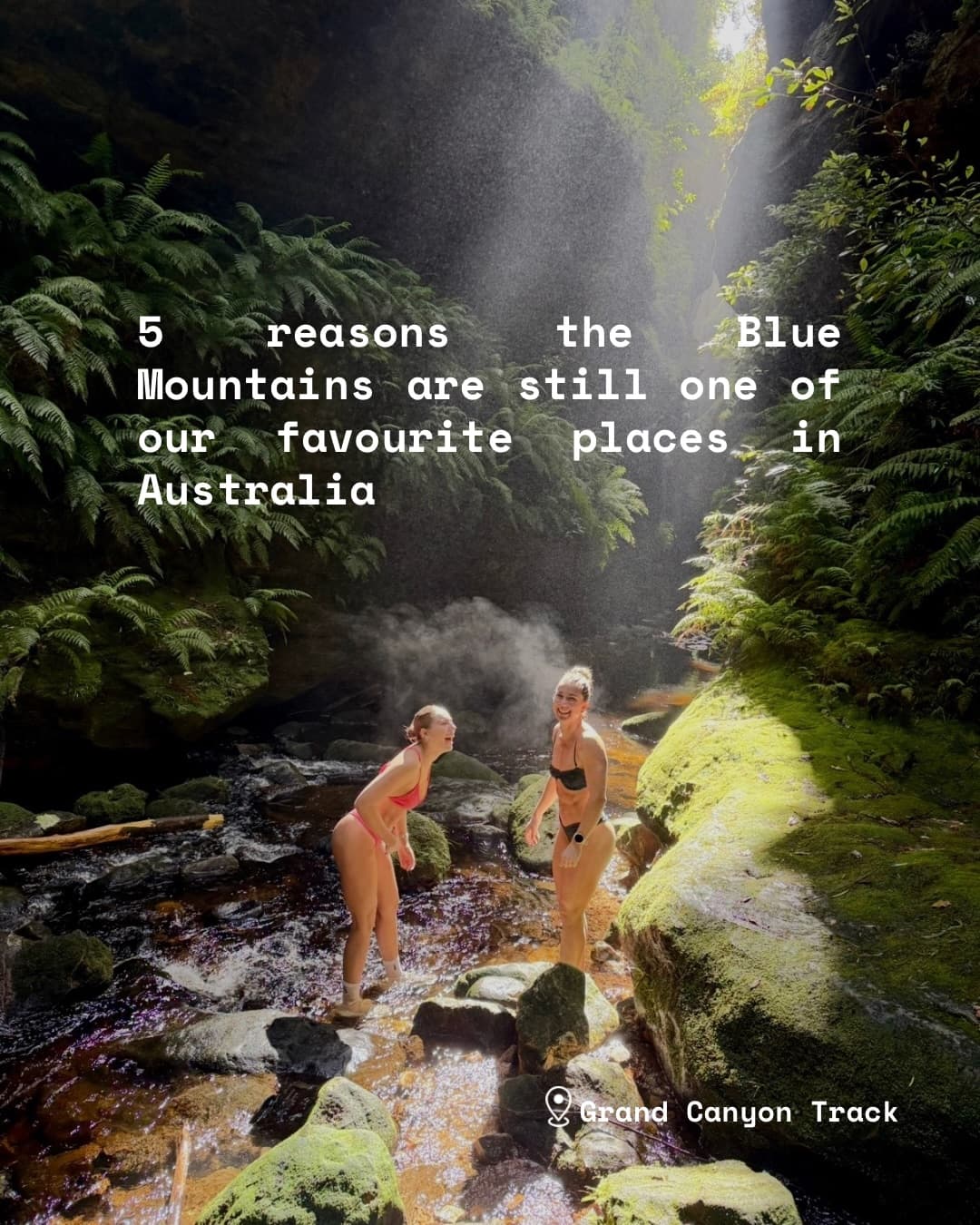 Blue Mountains' Natural Wonders And Walking Tracks