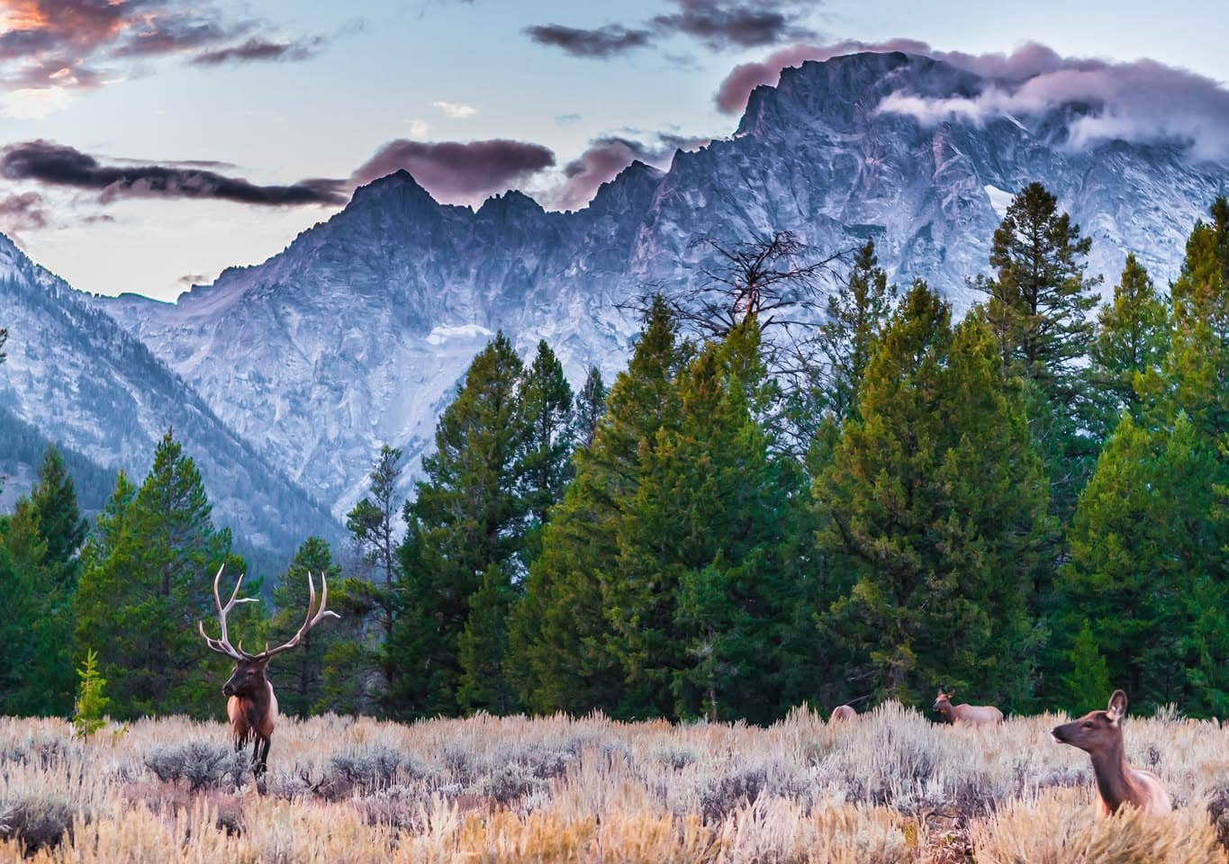Roadtrip Through Iconic Western US Landmarks