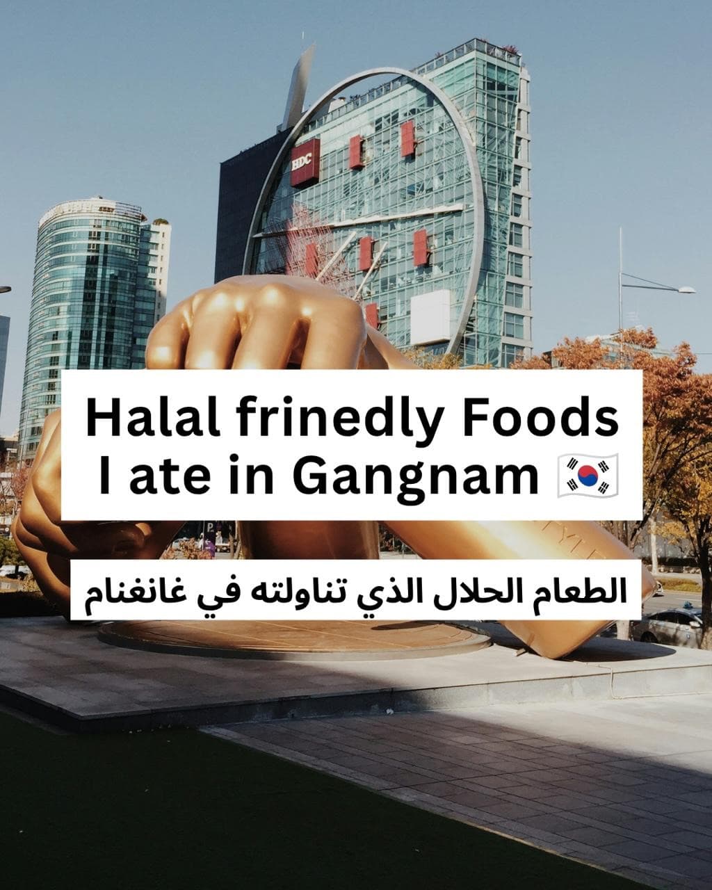 Halal Food Options in Gangnam, Seoul