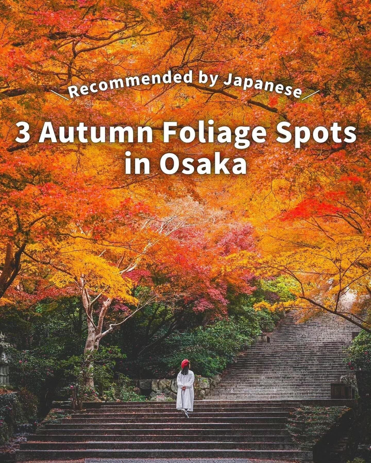 Osaka's Top Autumn Foliage Destinations