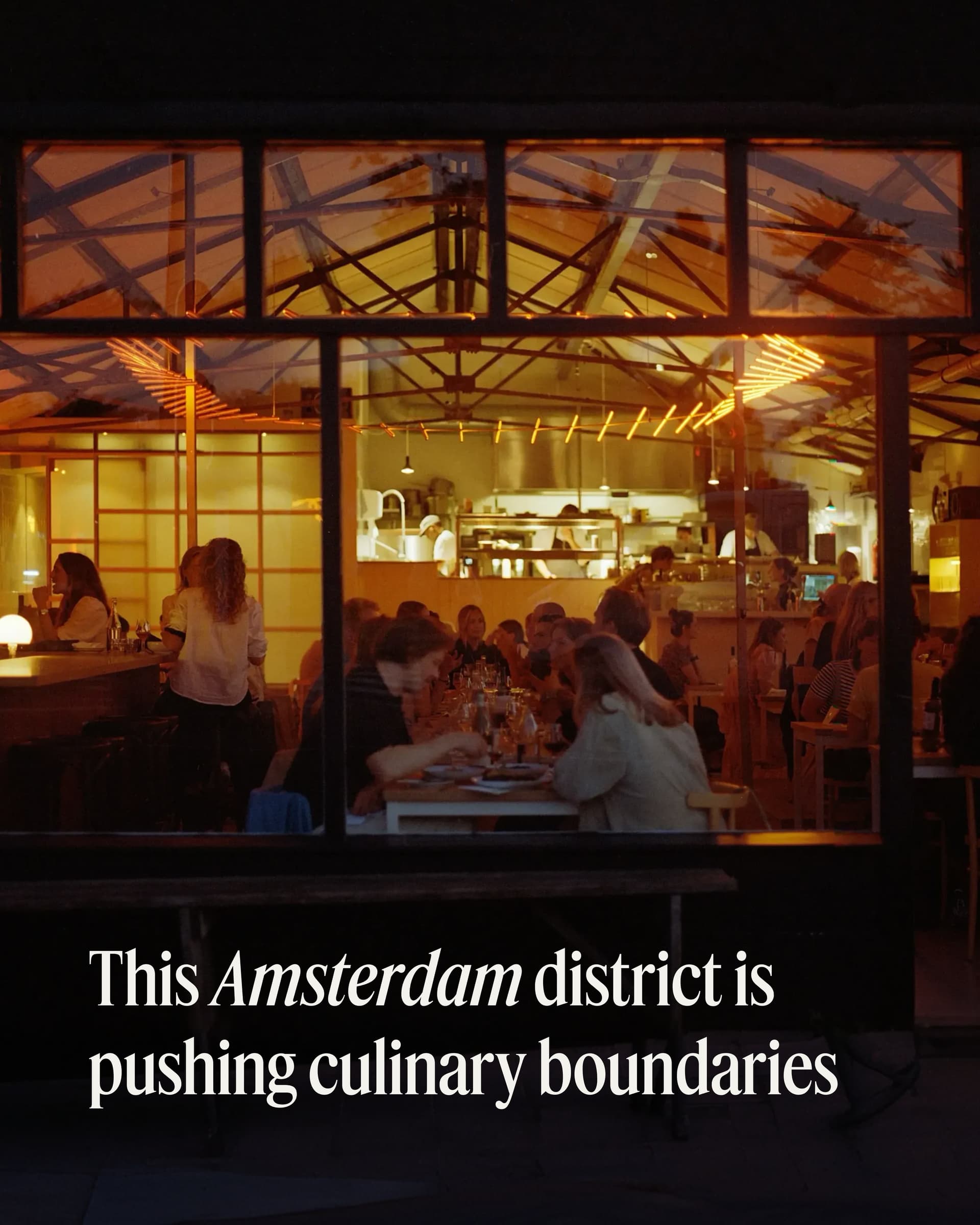 Amsterdam Noord's Creative Culinary Scene