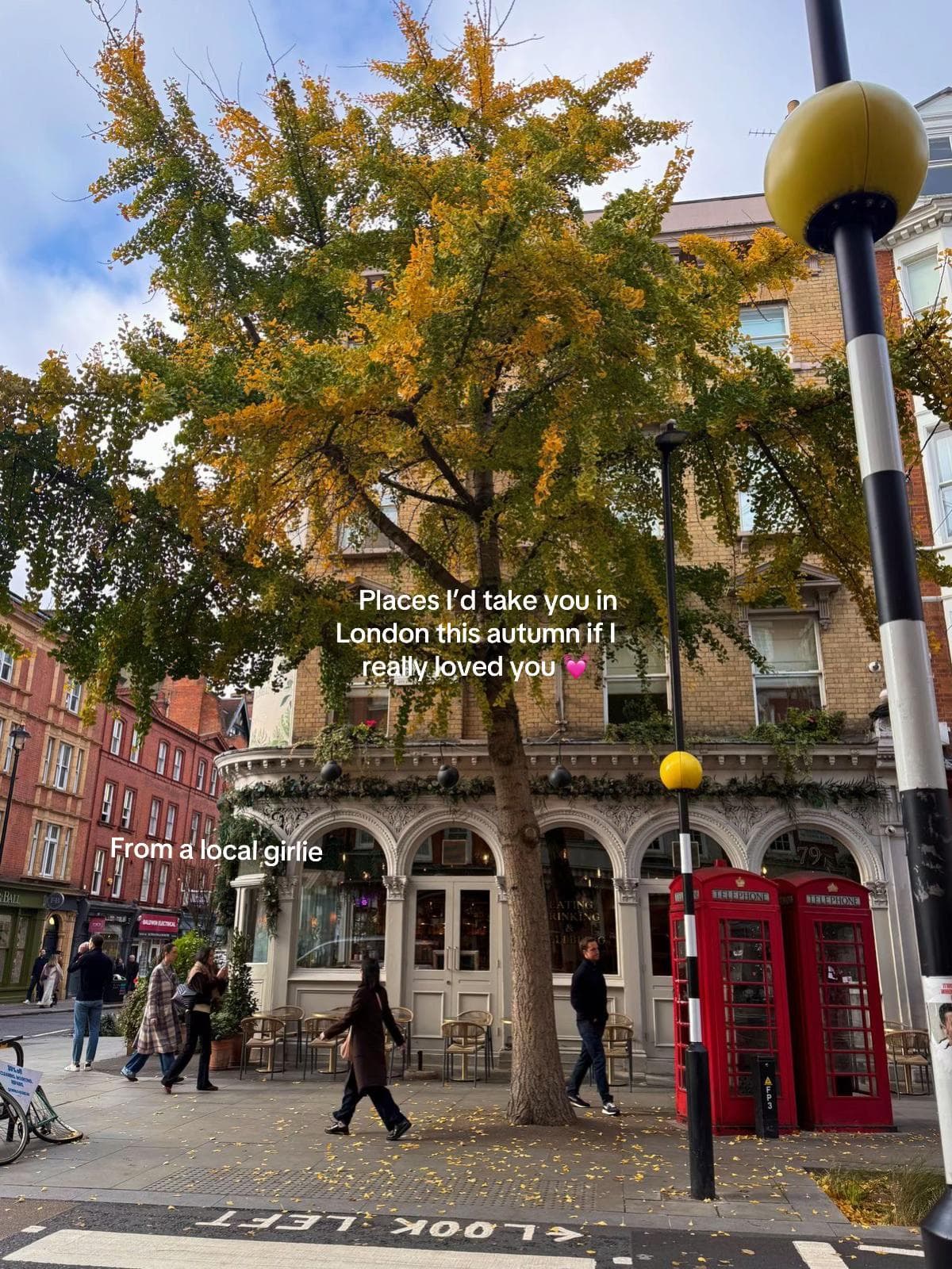 London's Autumnal Charm: Parks, Gardens, and Cozy Cinema