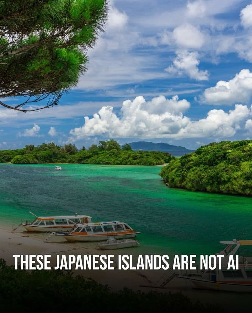 Japanese Islands Featuring Kyushu, Honshu, and Shikoku
