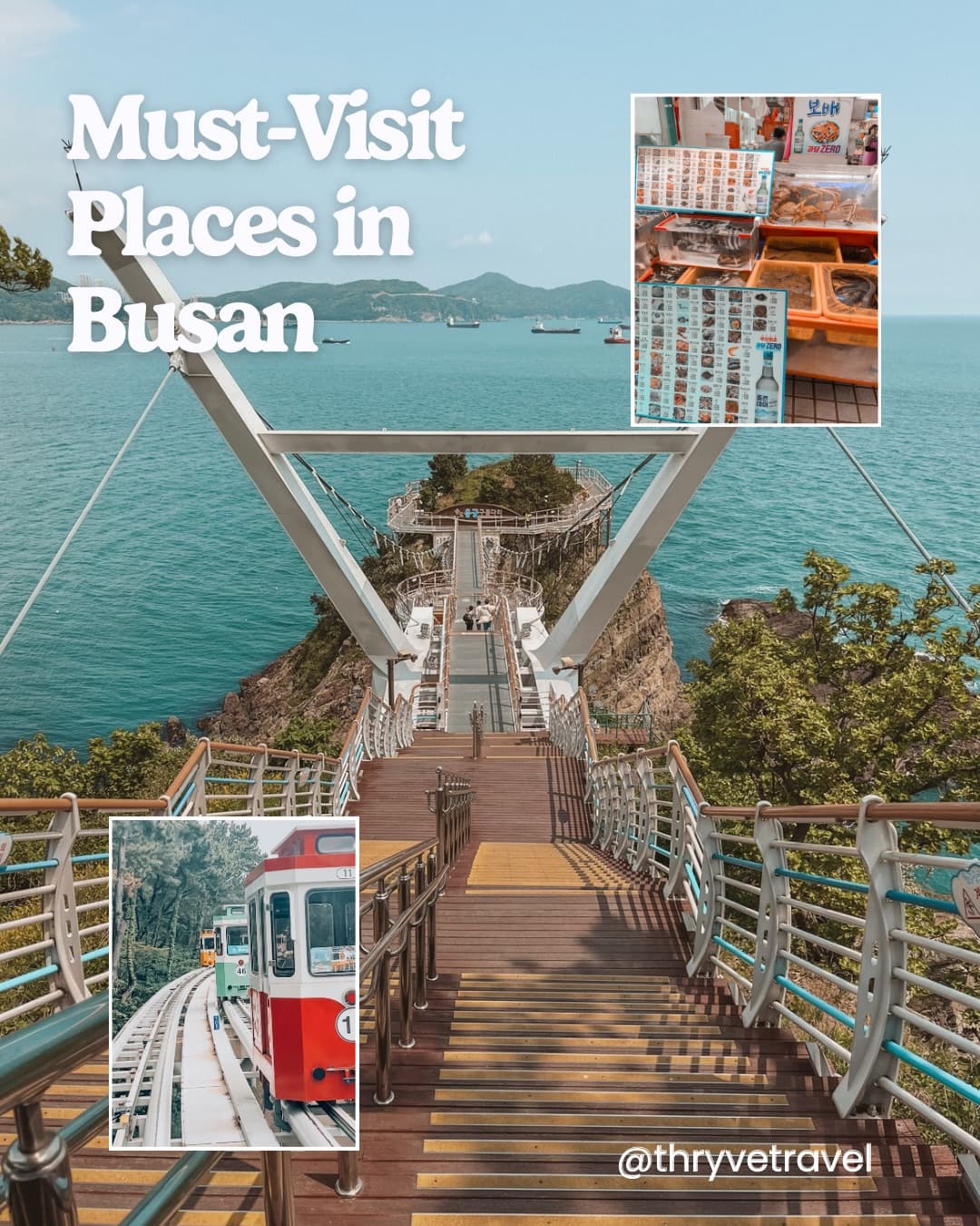 Busan's Vibrant Culture and Coastal Wonders