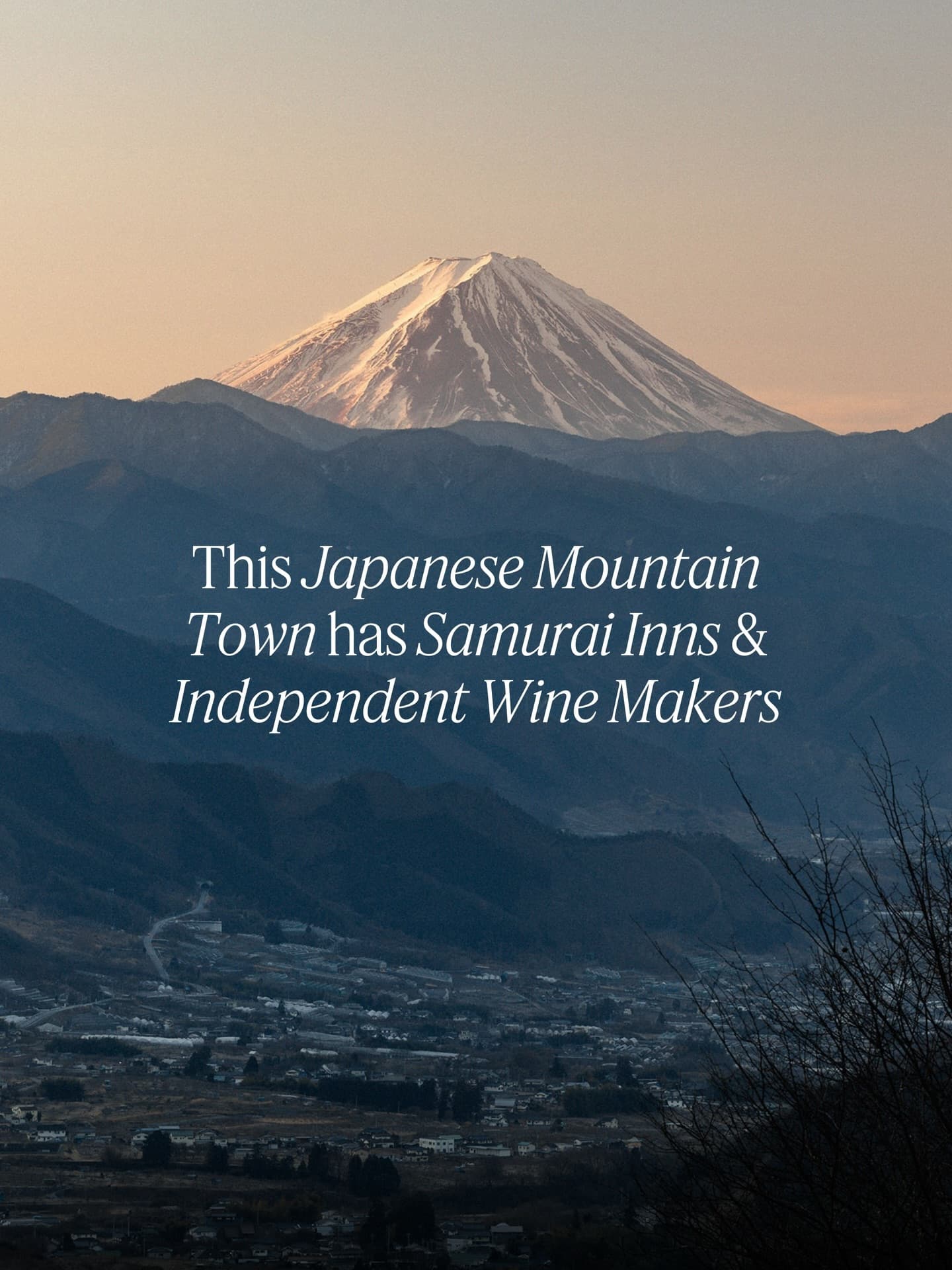 Yamanashi: Temples, Wine, and Fuji Views