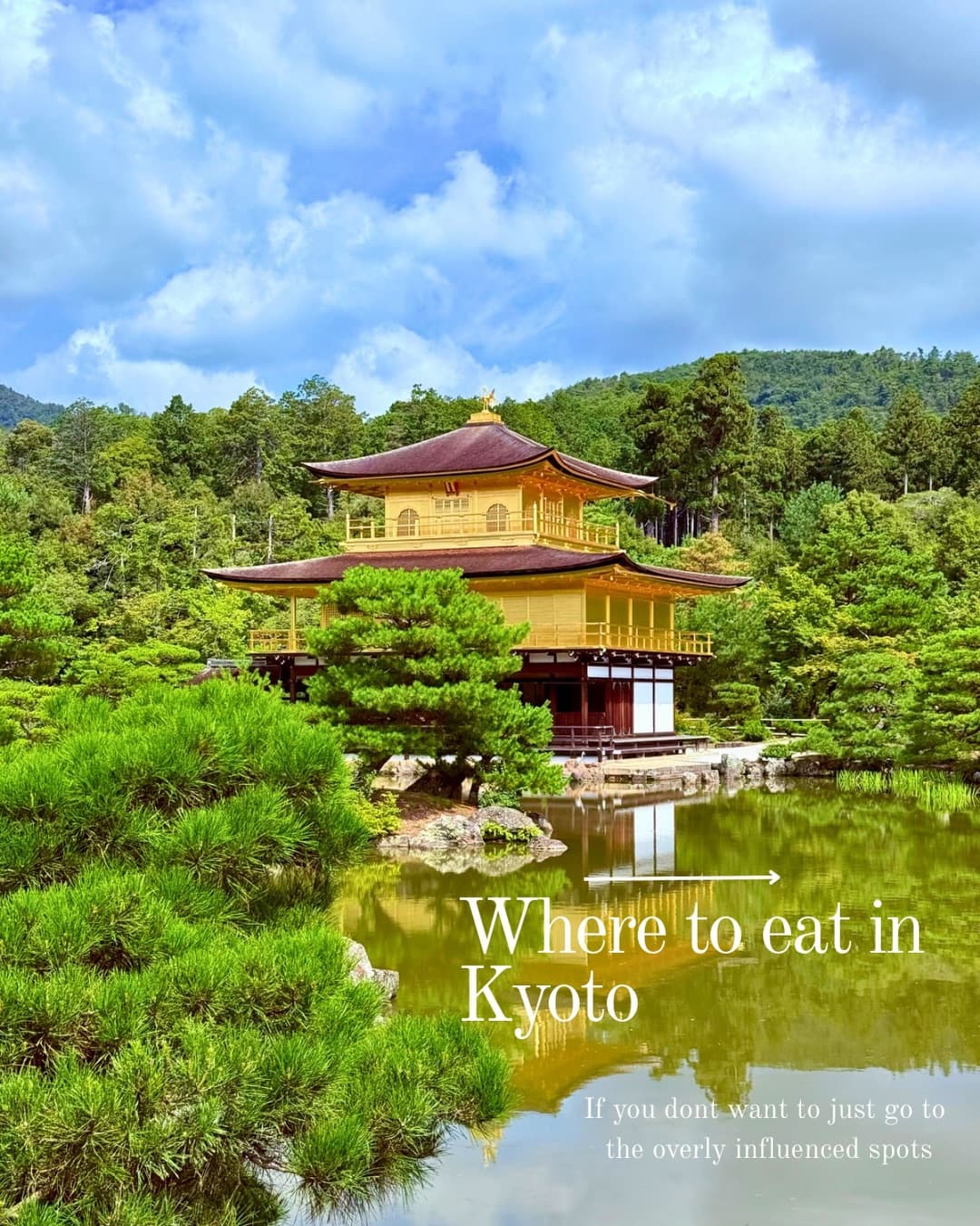 Kyoto's Diverse Culinary Delights: From Ramen to Wagyu